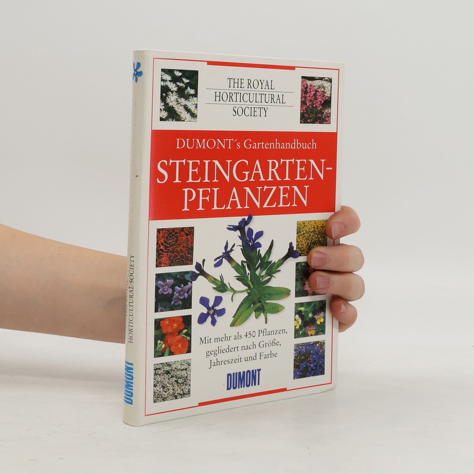 Harda Kuwer Steingartenpflanzen