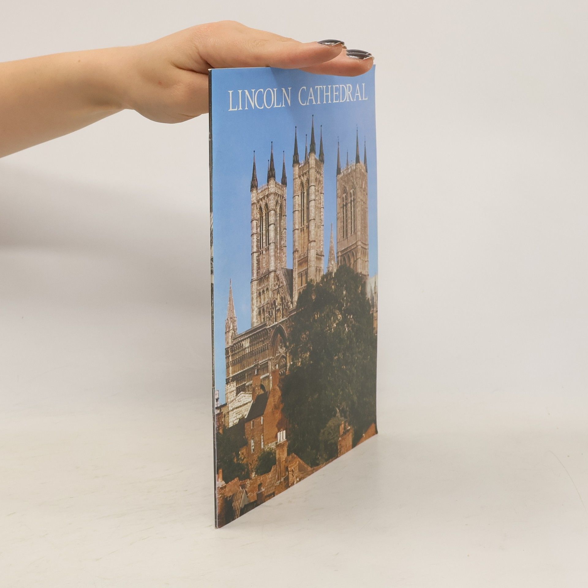 Collectif d'auteurs Lincoln Cathedral