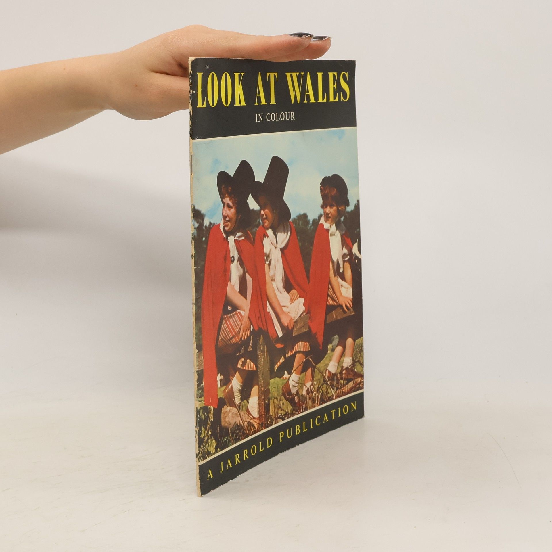 Collectif d'auteurs Look at Wales in Colour