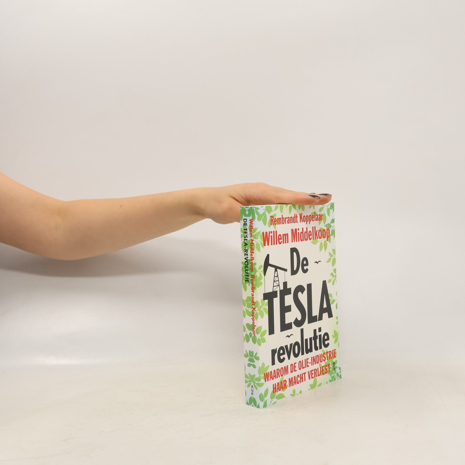 Willem Middelkoop De Tesla-revolutie
