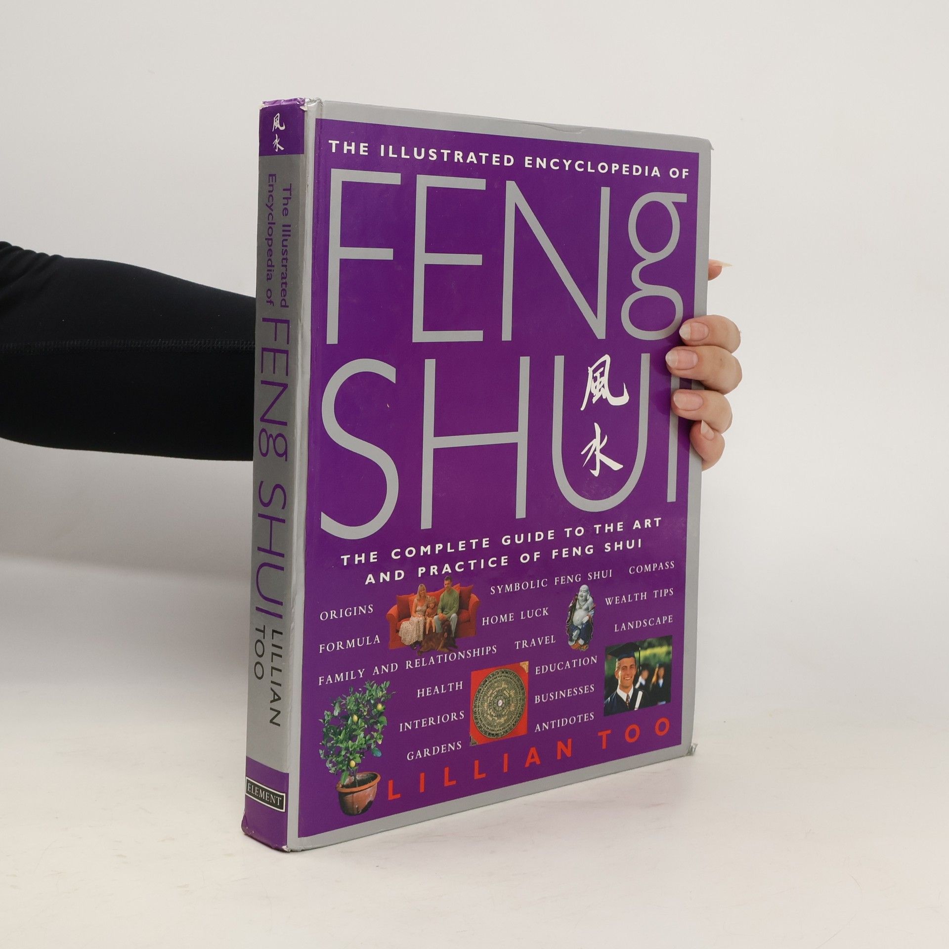 Lillian Too The Illustrated Encyclopedia of Feng Shui