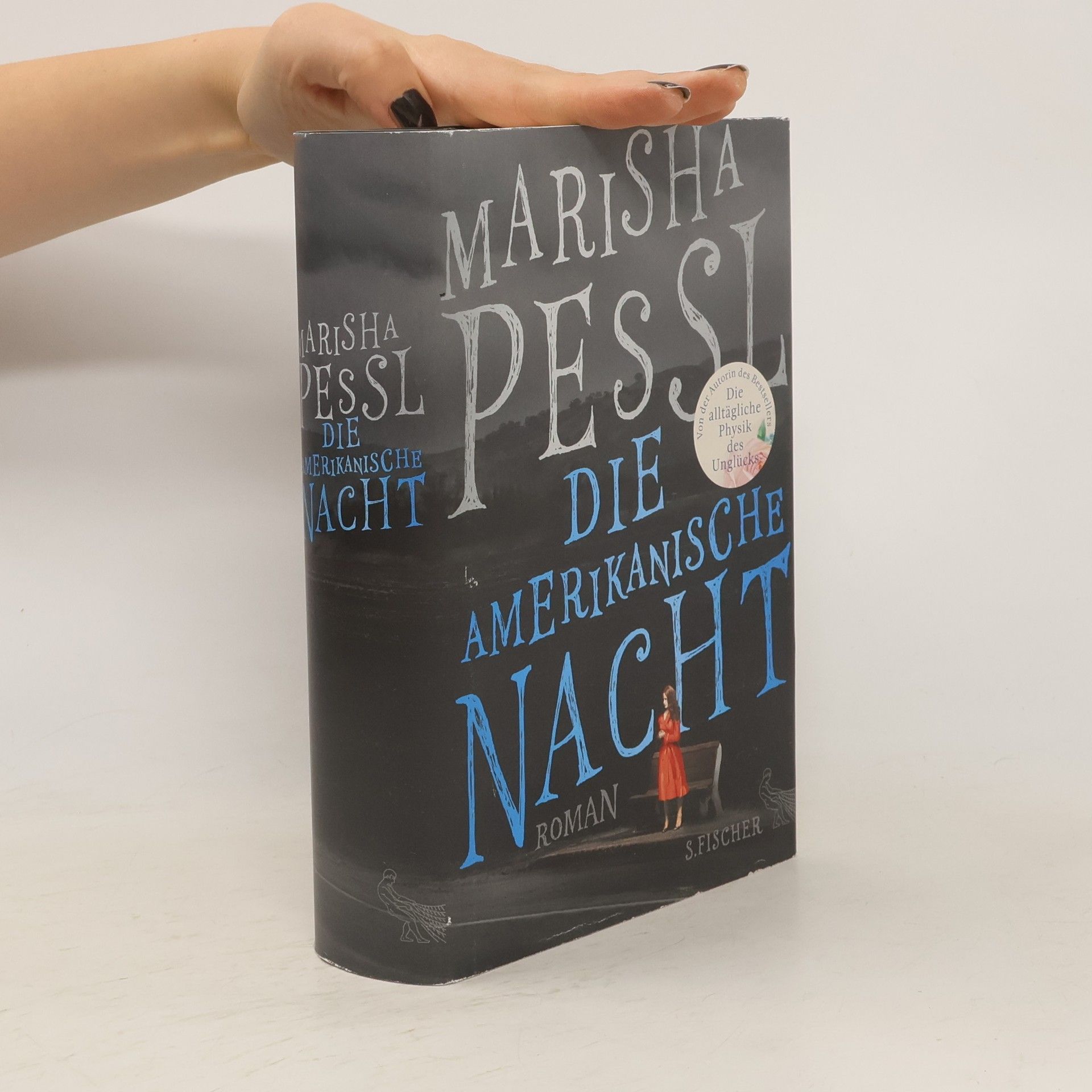 Marisha Pessl Die amerikanische Nacht