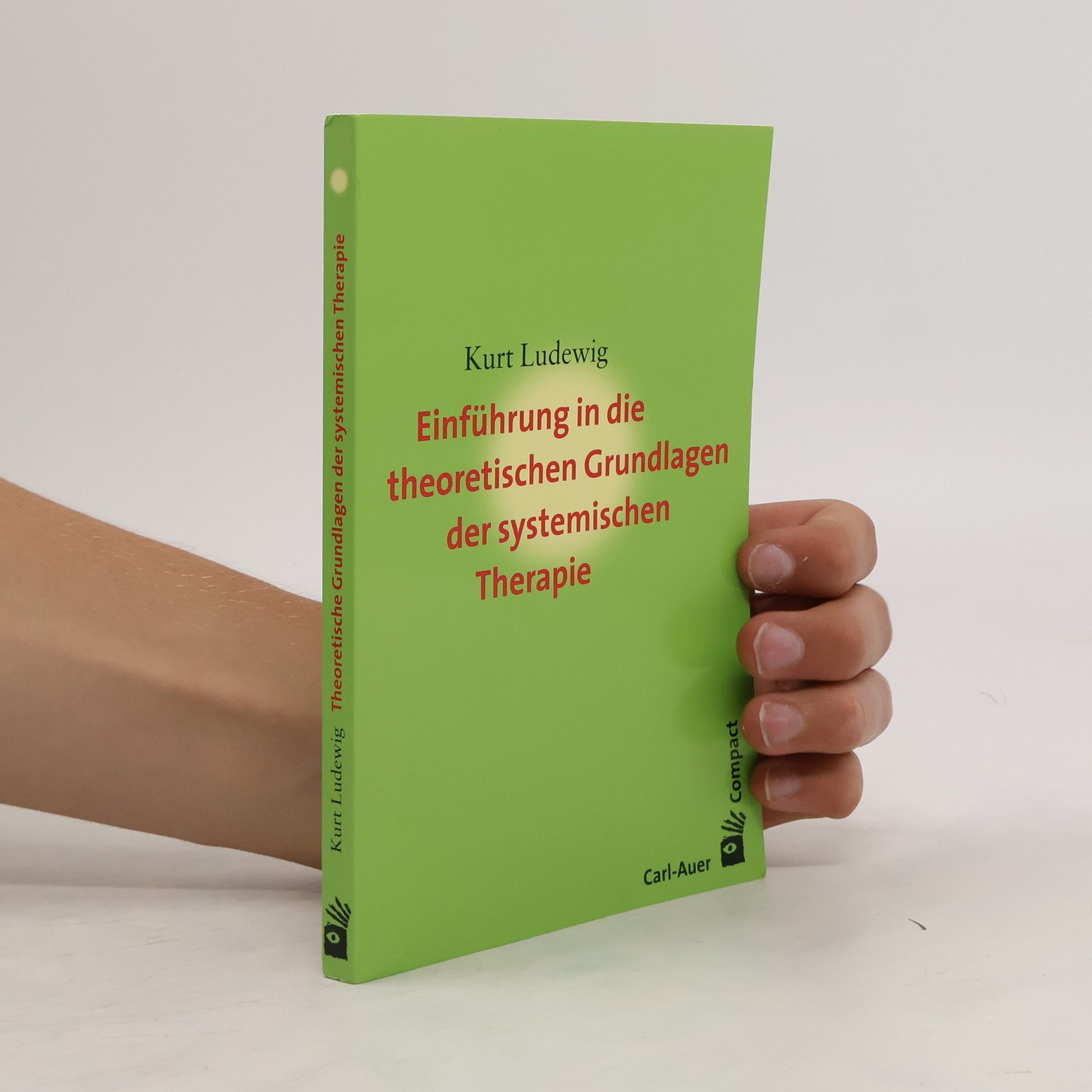 Kurt Ludewig Einführung in die theoretischen Grundlagen der systemischen Therapie