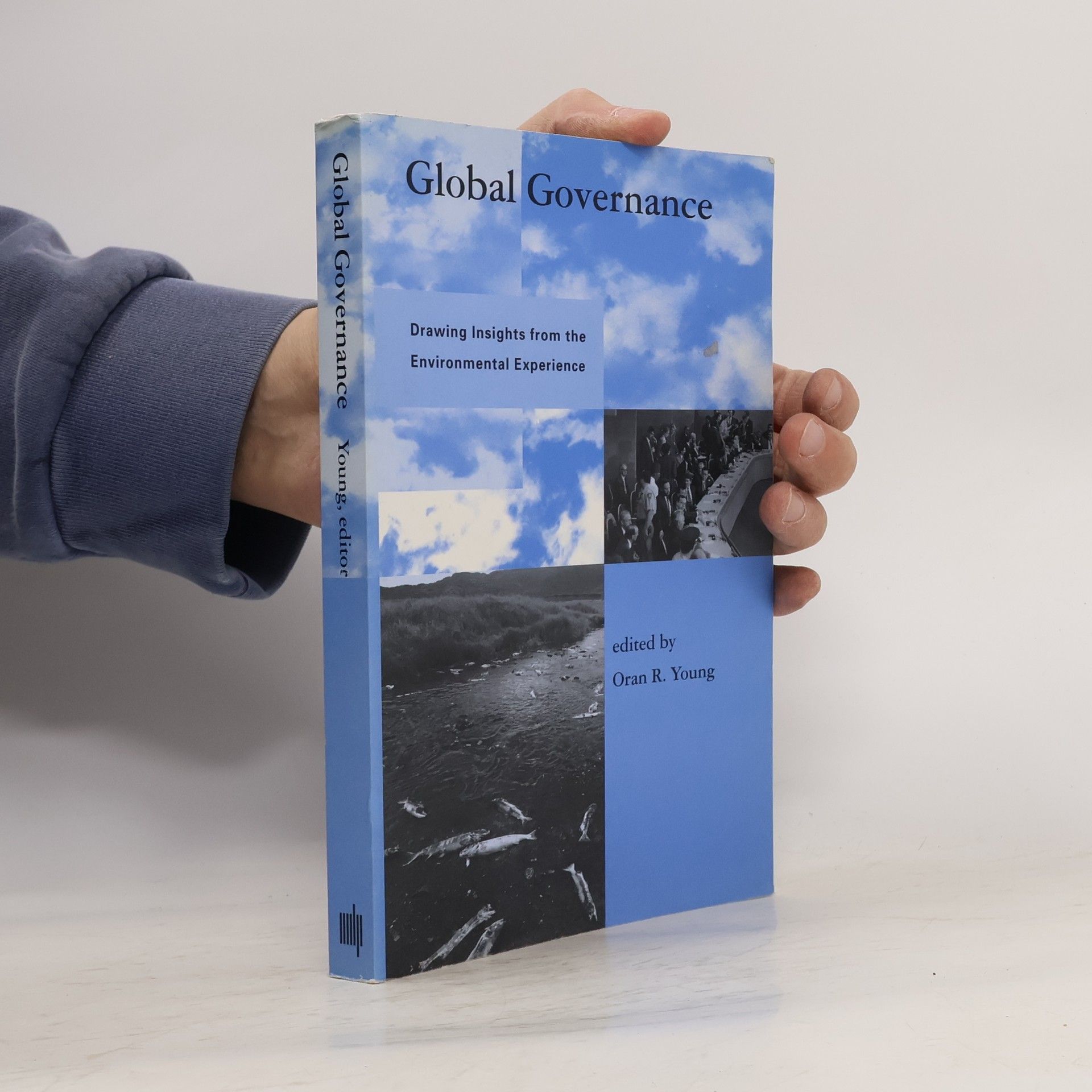 Oran R. Young Global Governance