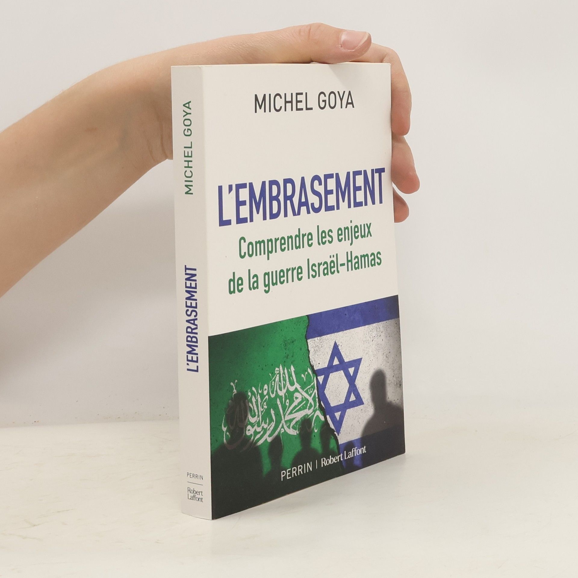 Goya Michel L'embrasement