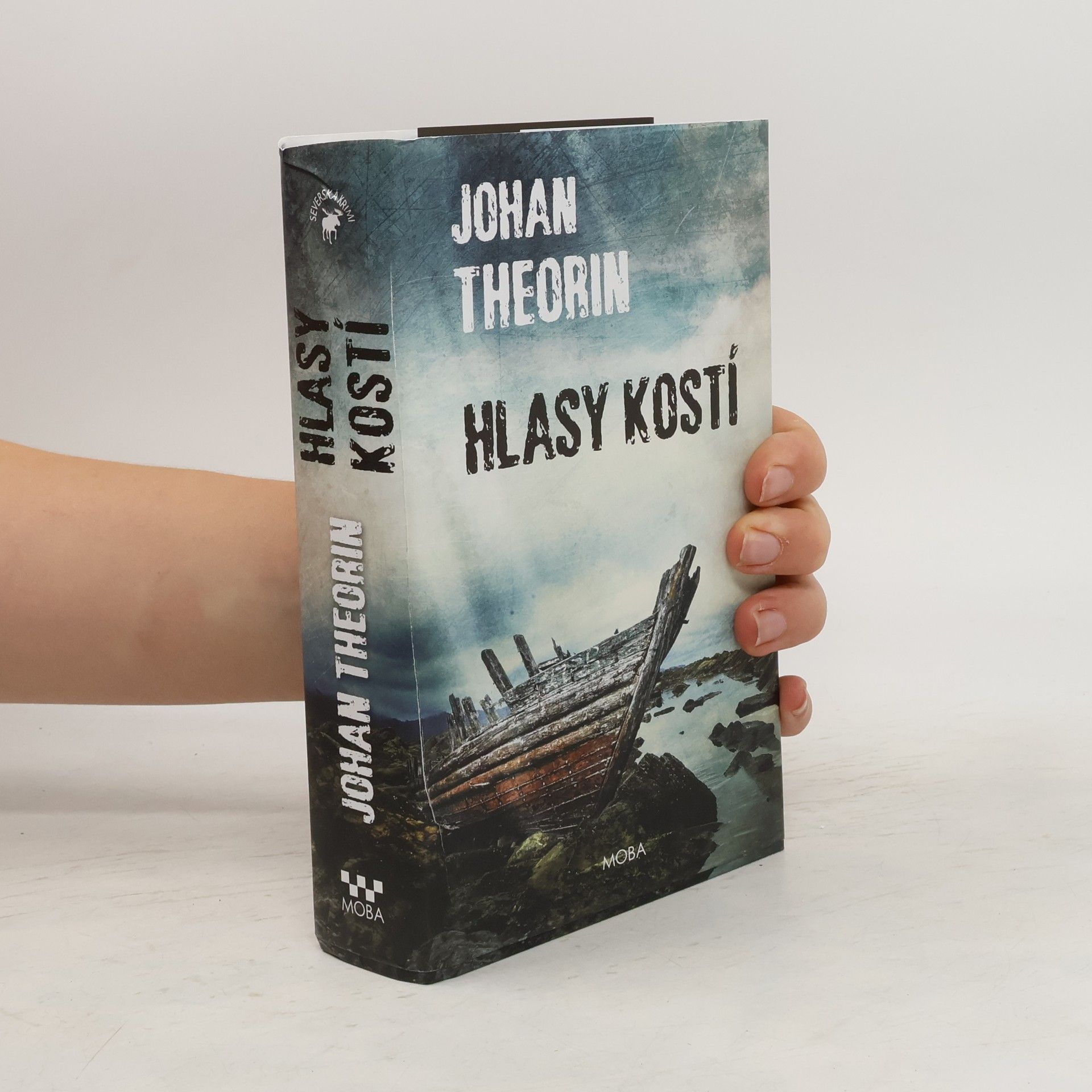 Johan Theorin Hlasy kostí