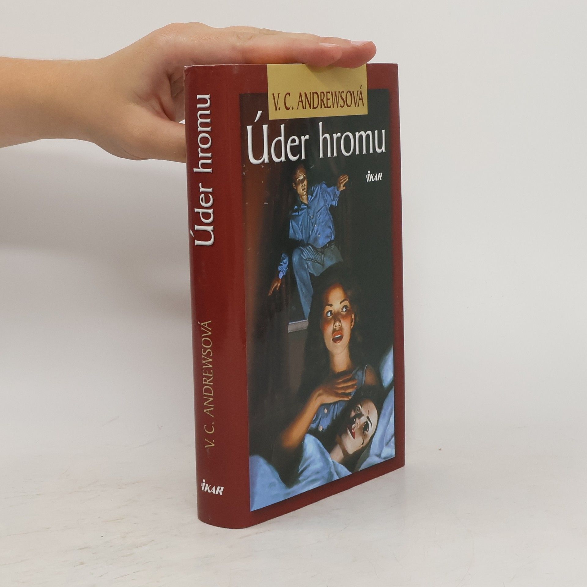 V. C. Andrews Úder hromu