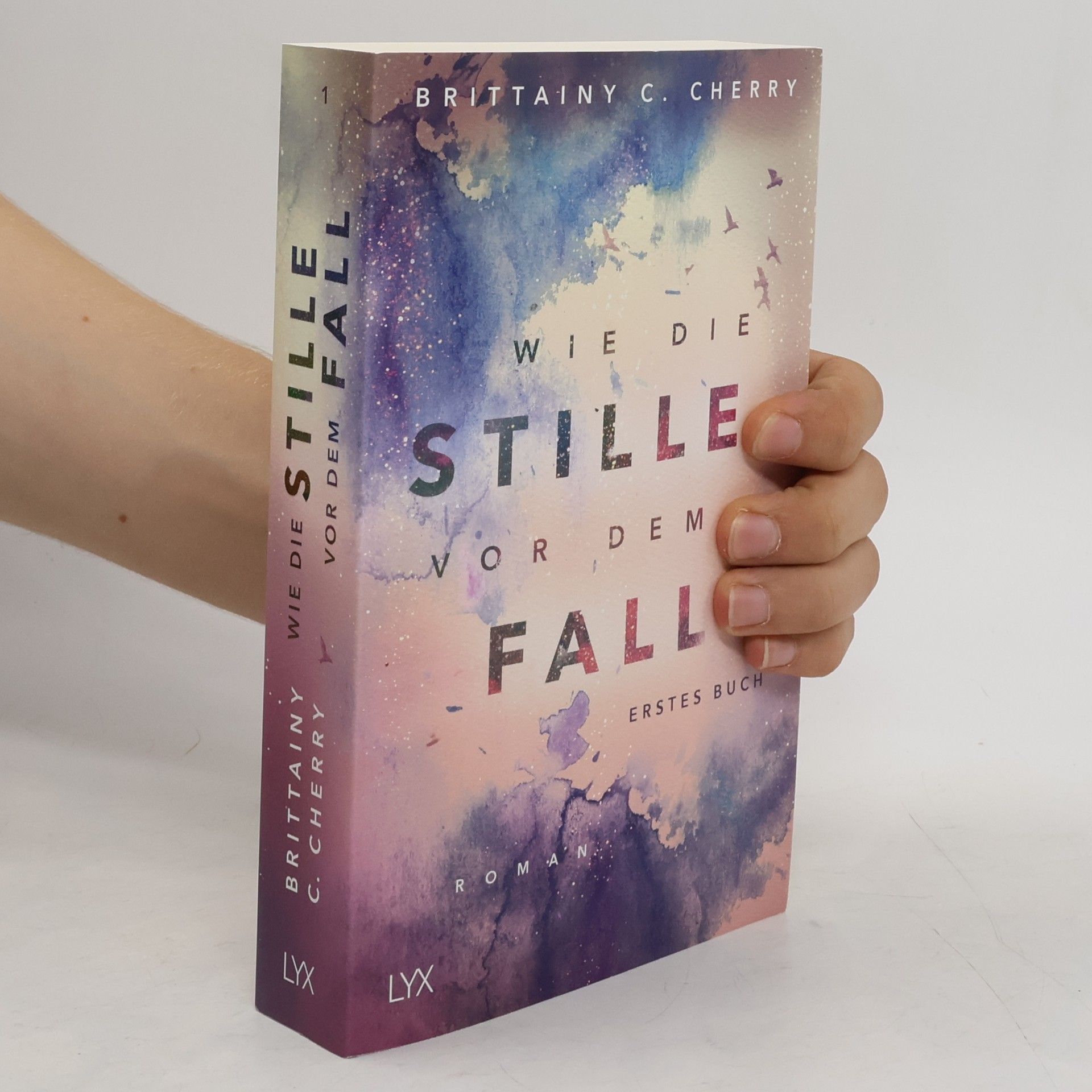 Brittainy C. Cherry Wie die Stille vor dem Fall