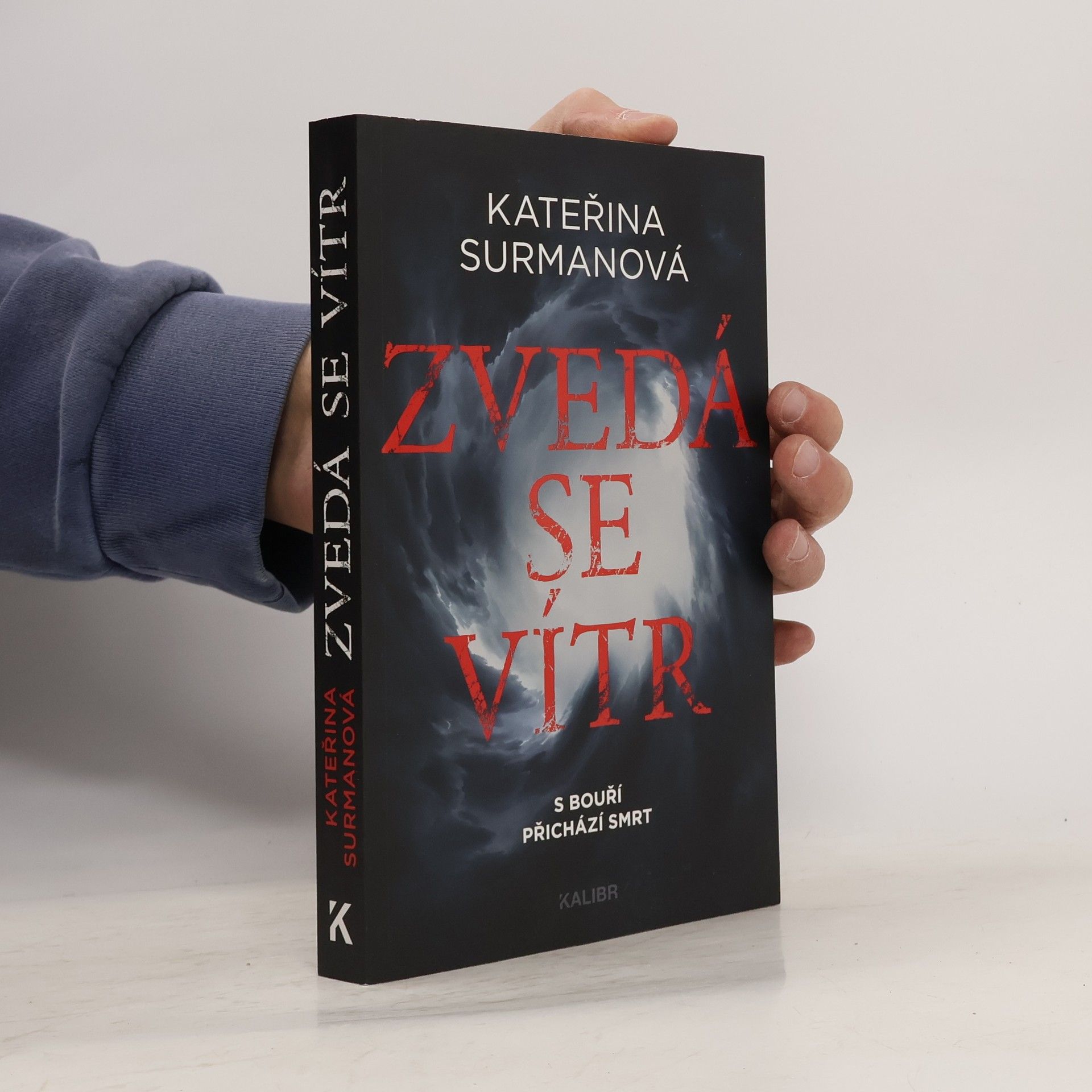 Kateřina Surmanová Zvedá se vítr