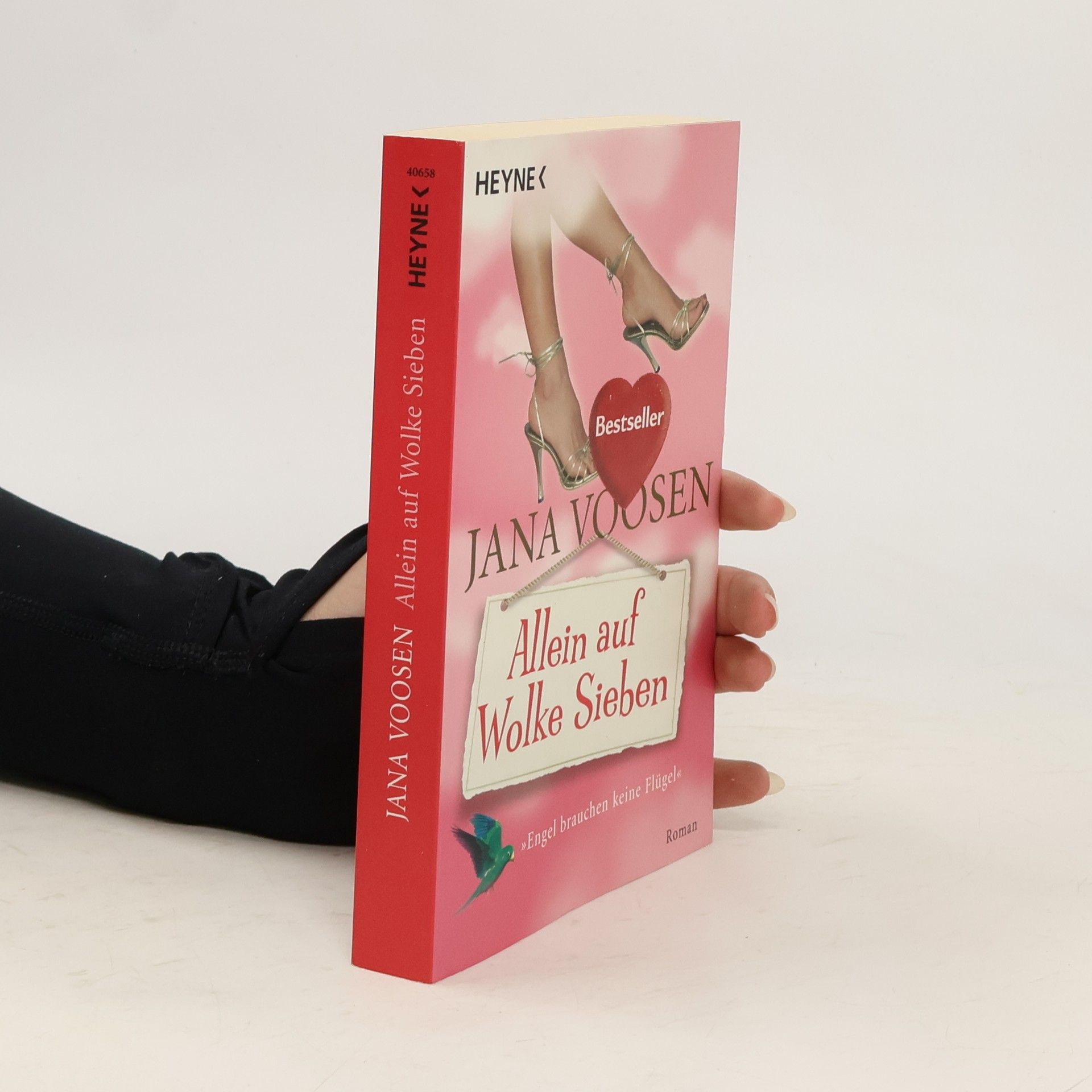 Jana Voosen Allein auf Wolke sieben