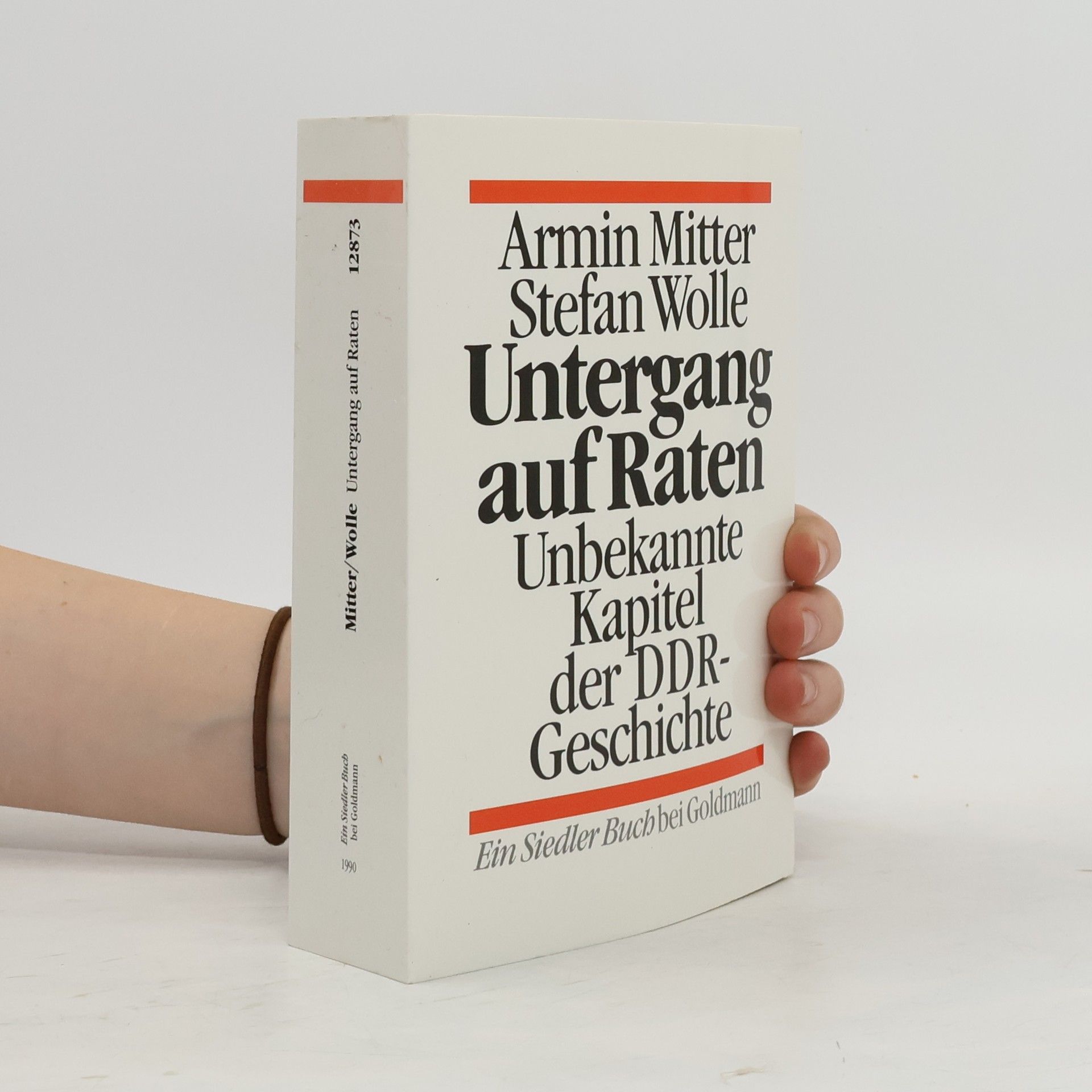 Armin Mitter Untergang auf Raten