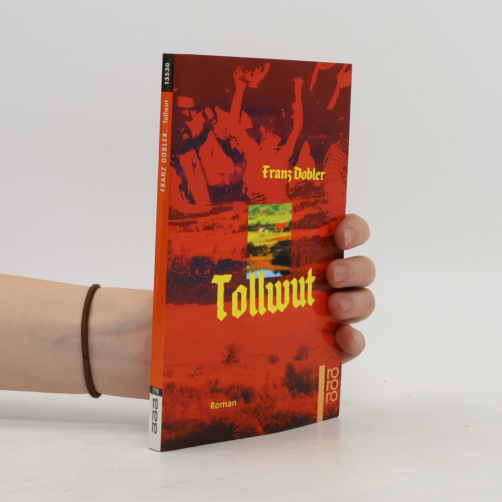Franz Dobler Tollwut