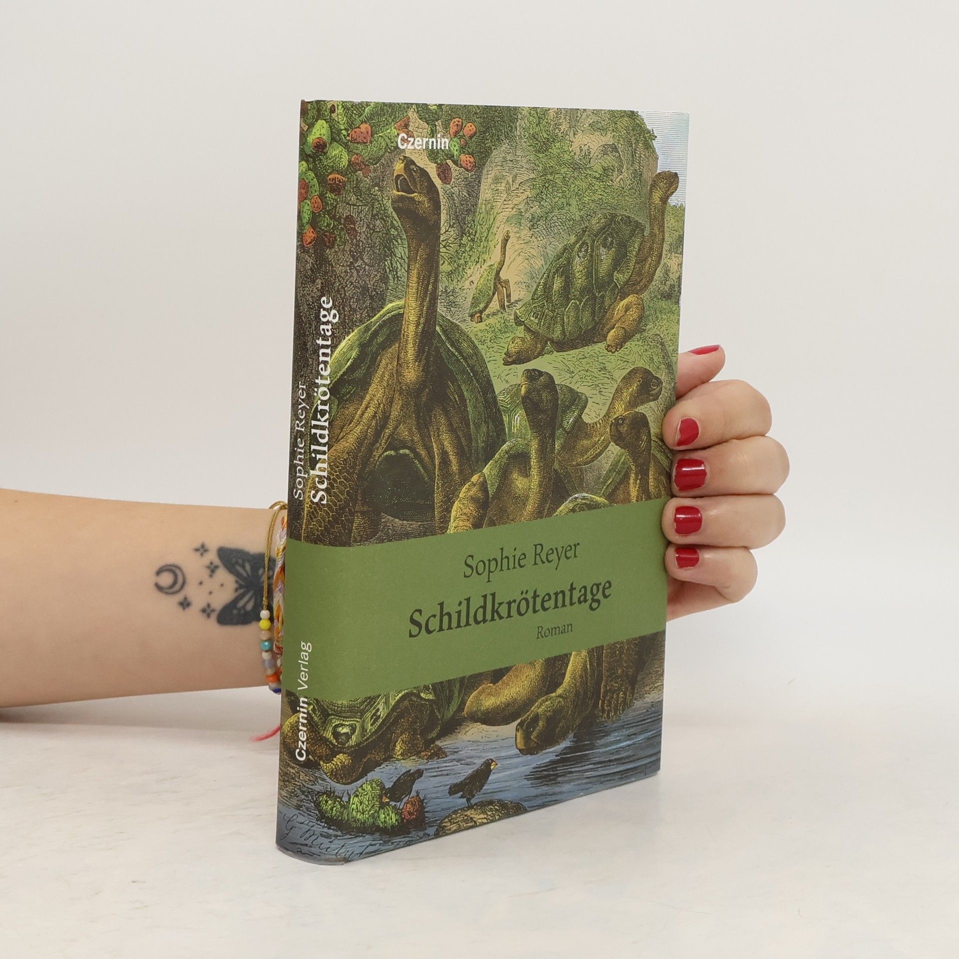 Sophie Reyer Schildkrötentage
