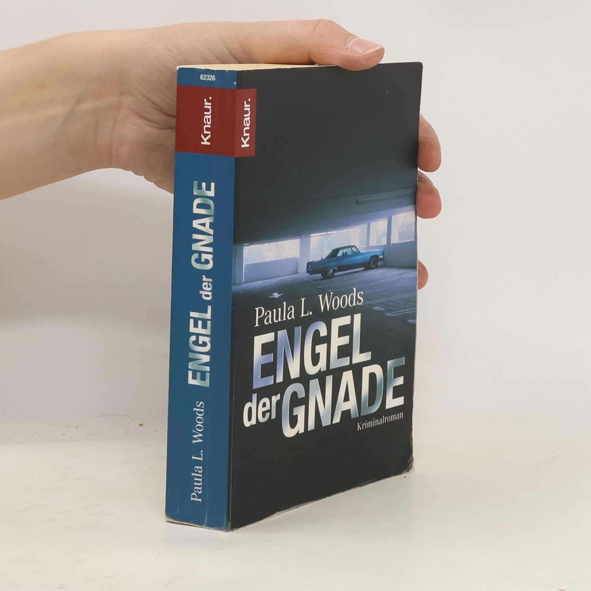 Paula L. Woods Engel der Gnade