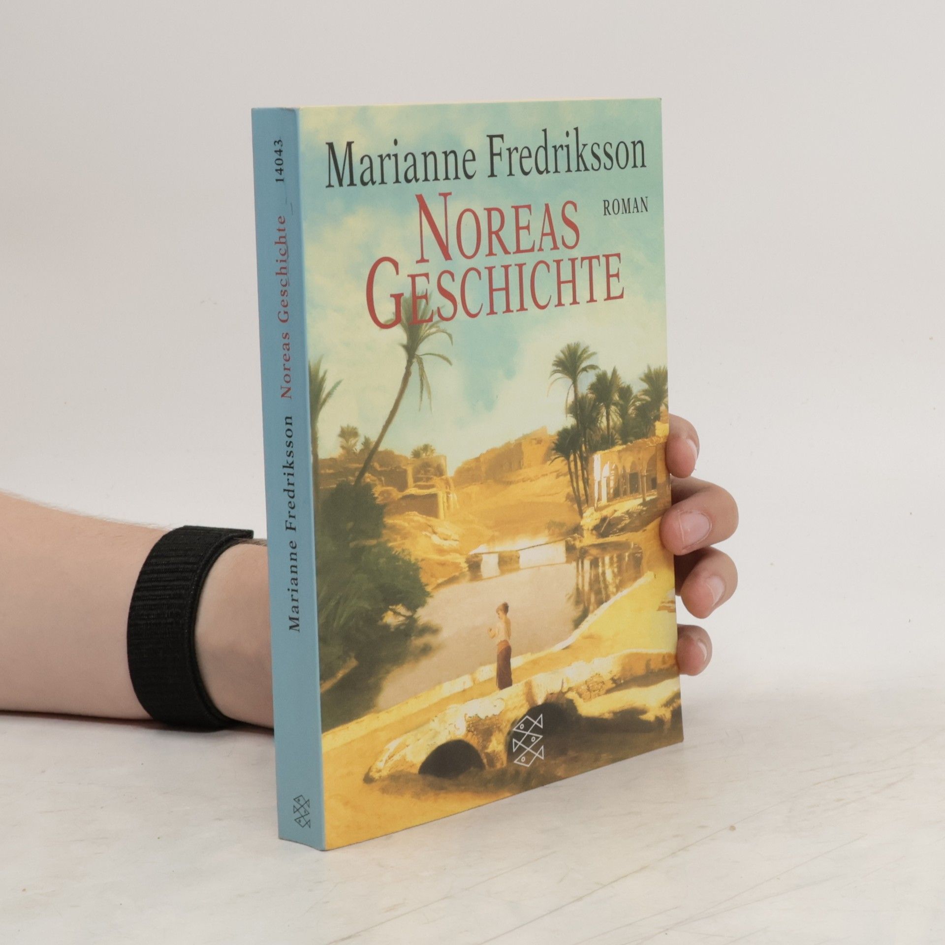 Marianne Fredriksson Noreas Geschichte