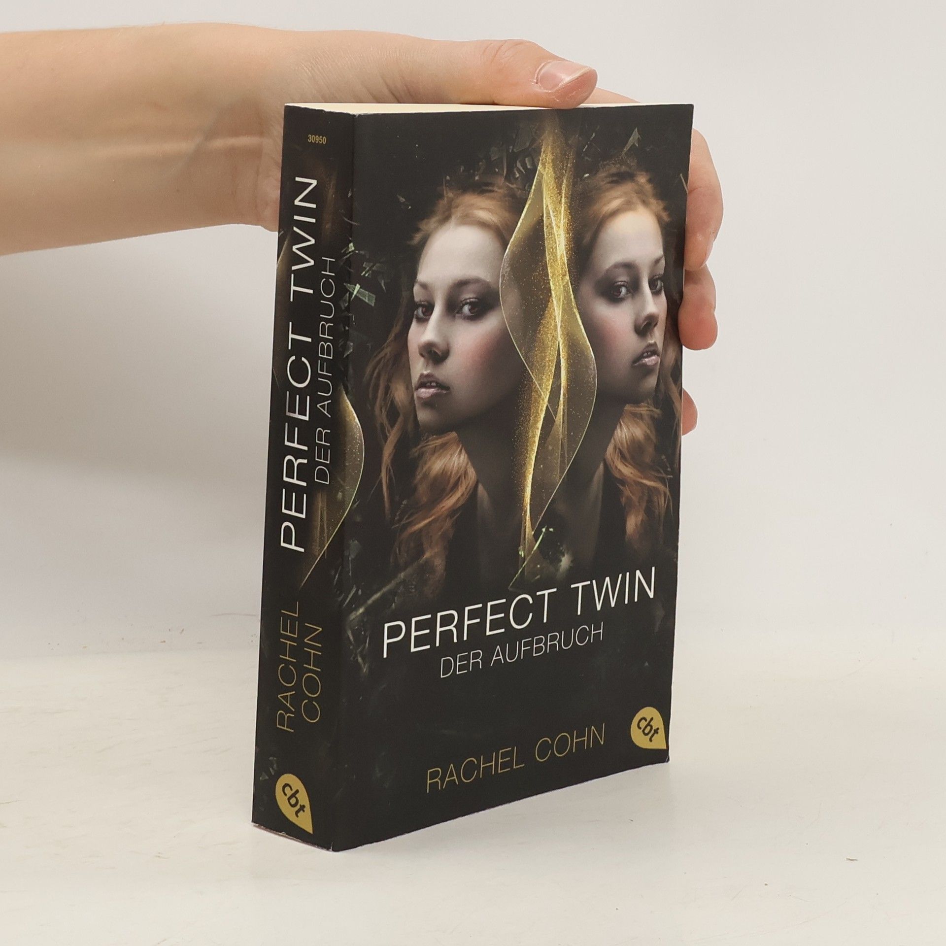 Rachel Cohn Perfect Twin - der Aufbruch