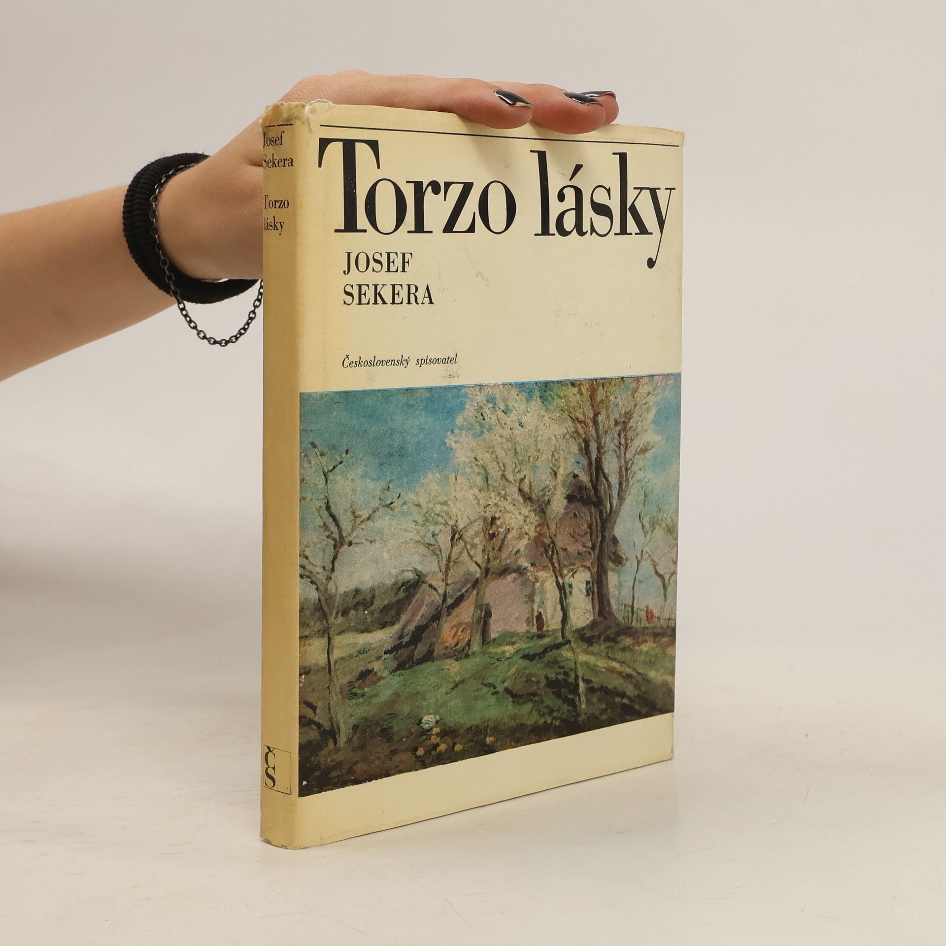 Josef Sekera Torzo lásky. Osudy Jindřicha Pruchy
