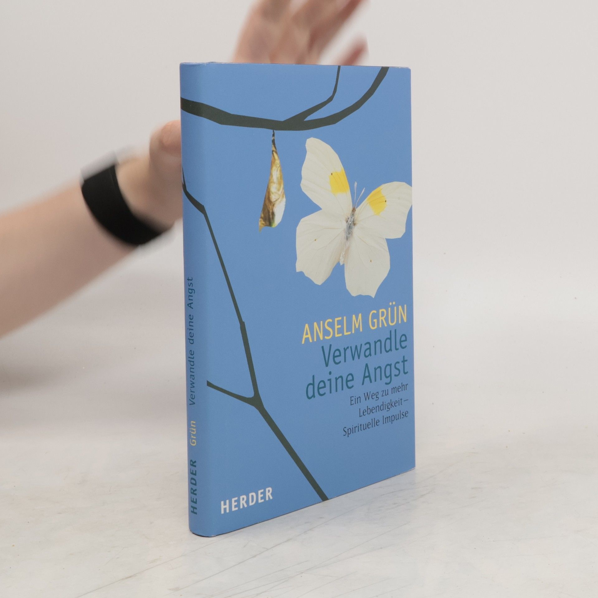 Anselm Grün Verwandle deine Angst