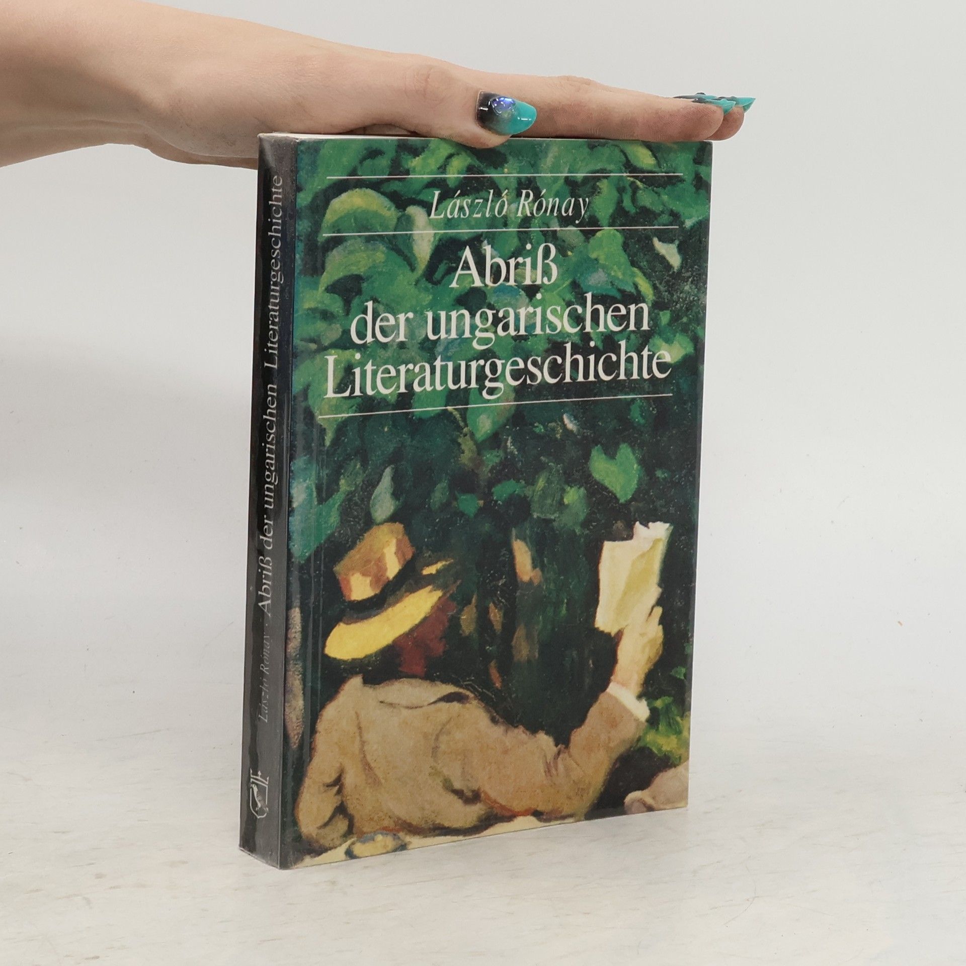 László Rónay Abriss der ungarischen Literaturgeschichte