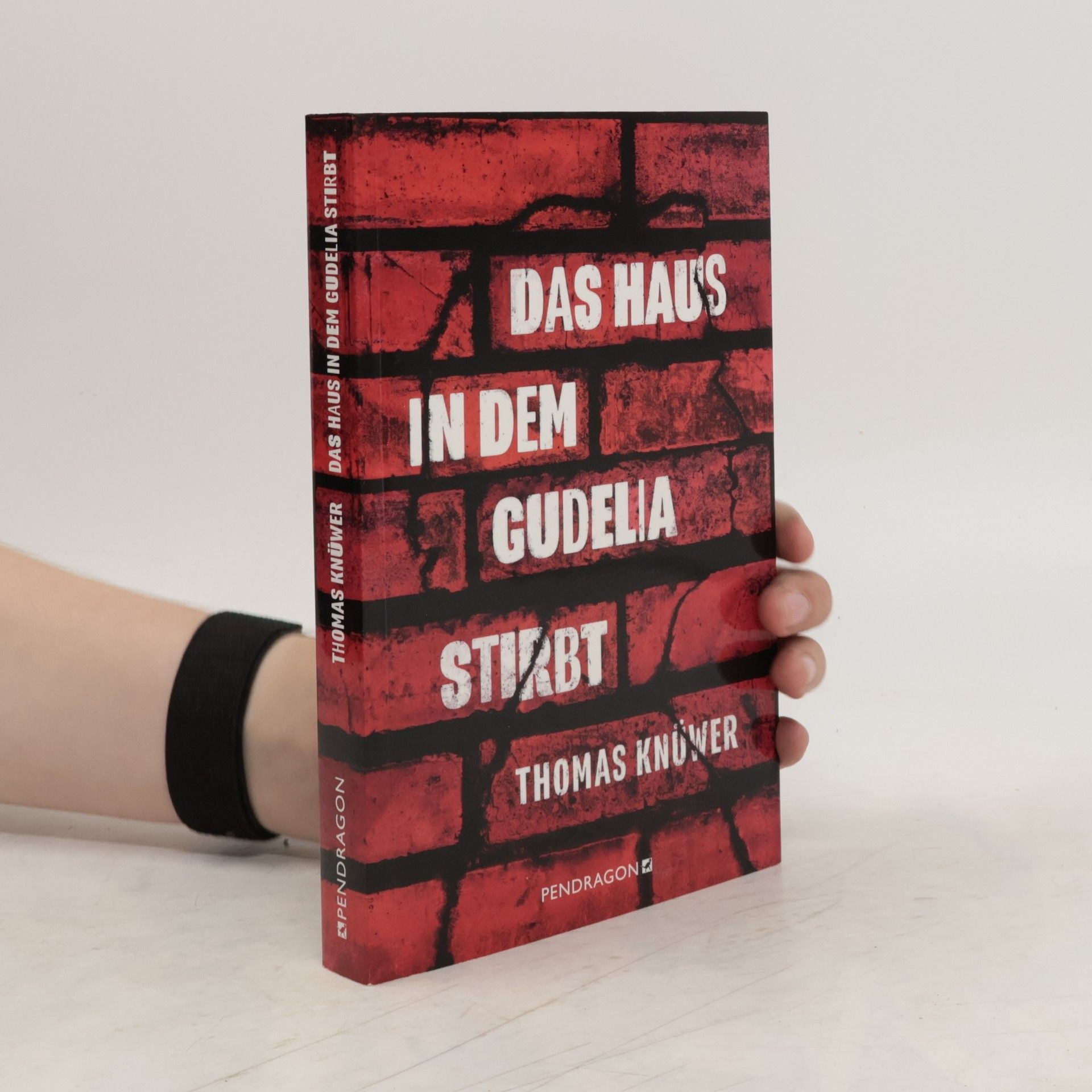 Thomas Knüwer Das Haus in dem Gudelia stirbt. Kriminalroman