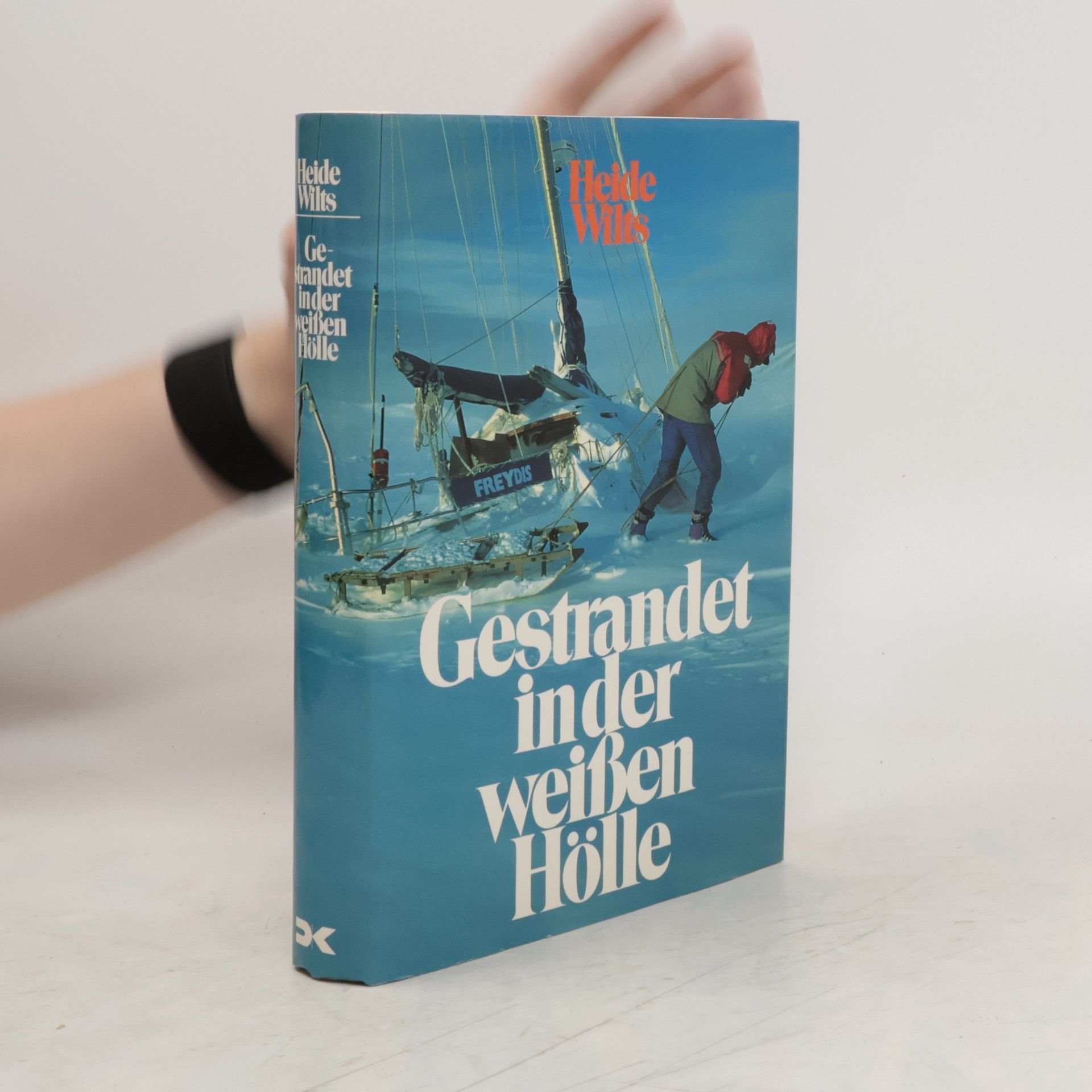 Heide Wilts Gestrandet in der weissen Hölle