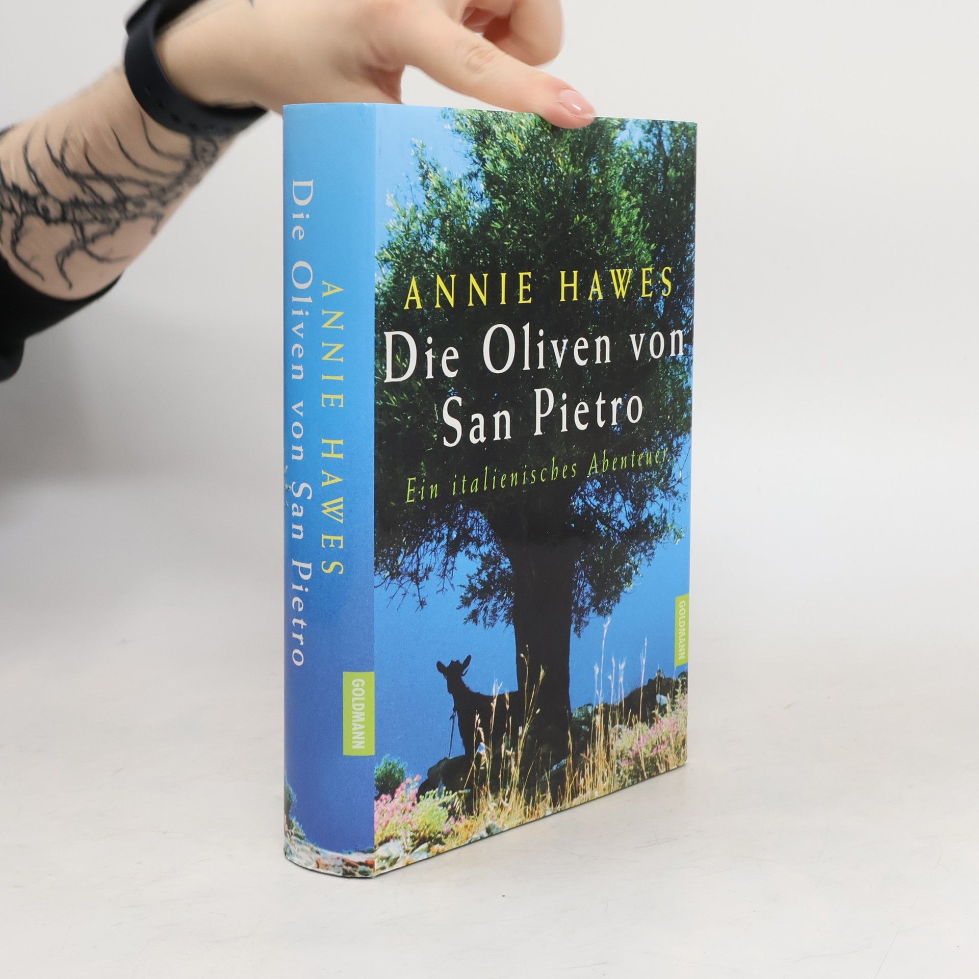 Annie Hawes Die Oliven von San Pietro