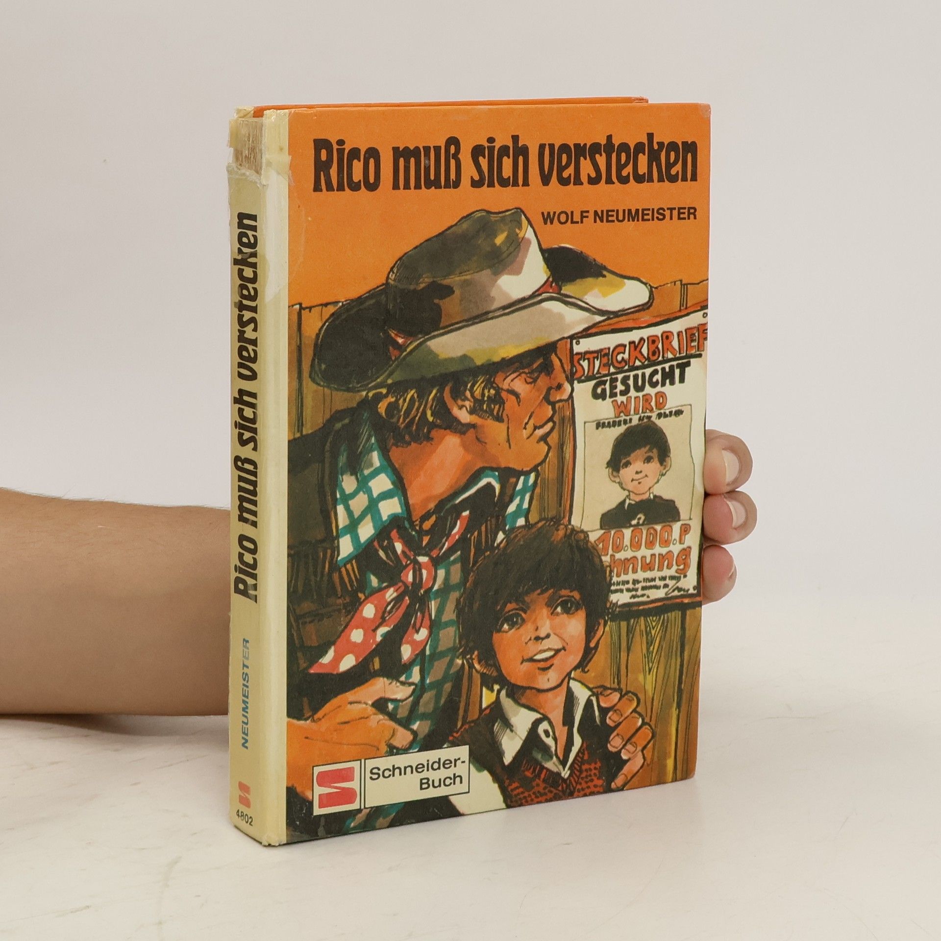 Walt Disney Außer Rand und Band