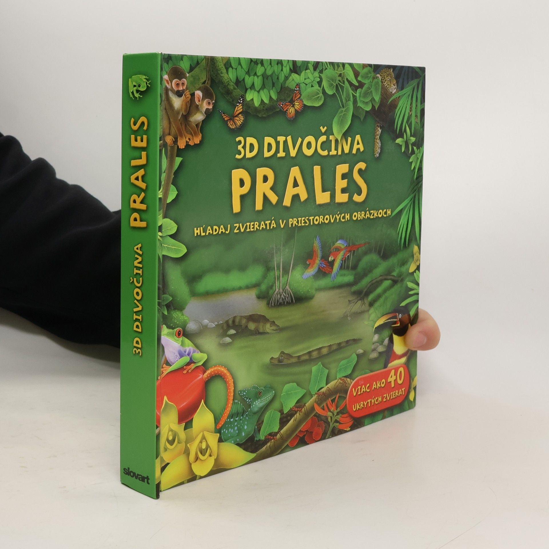 kolektiv 3D Divočina: Prales