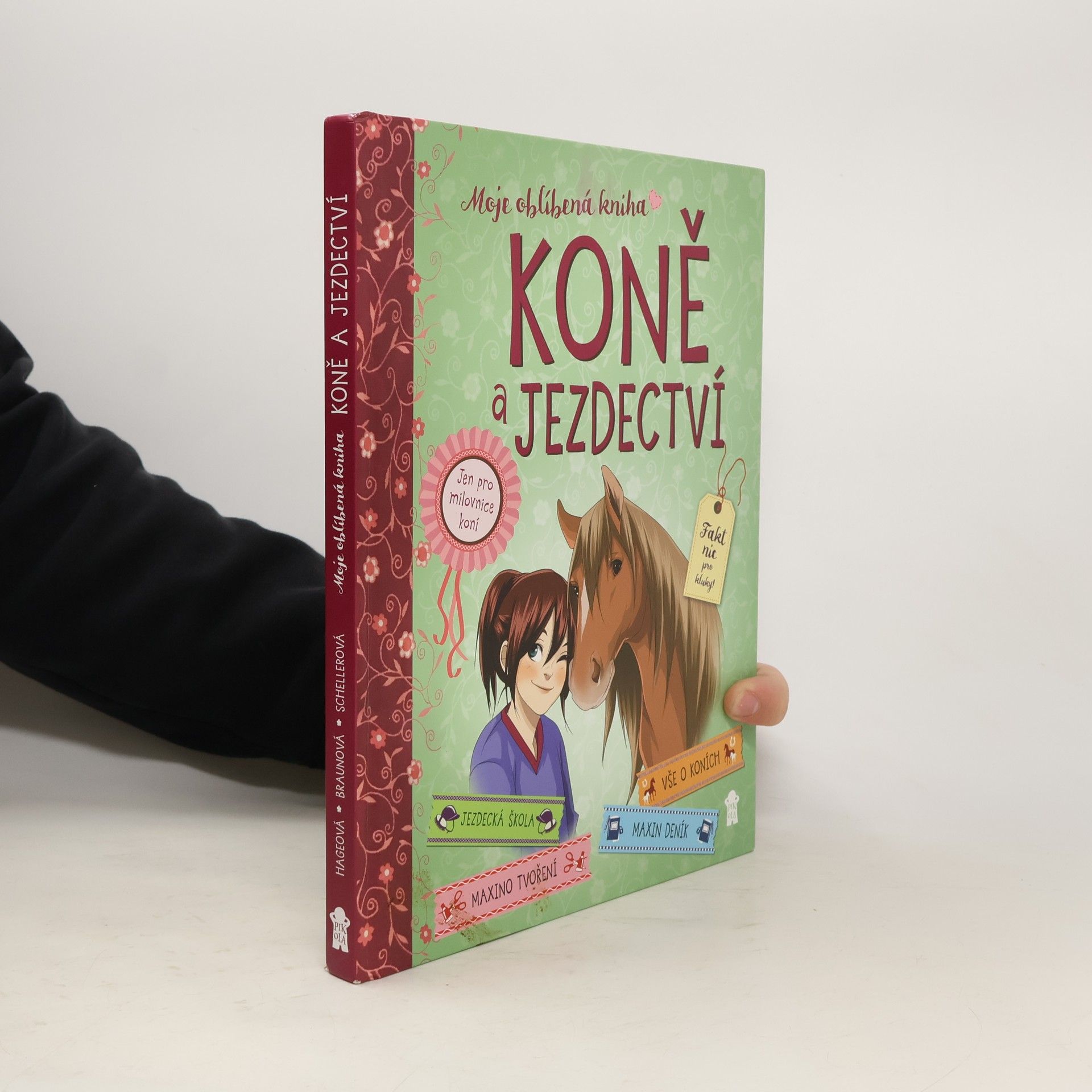 Gudrun Braun Koně a jezdectví - Moje oblíbená kniha