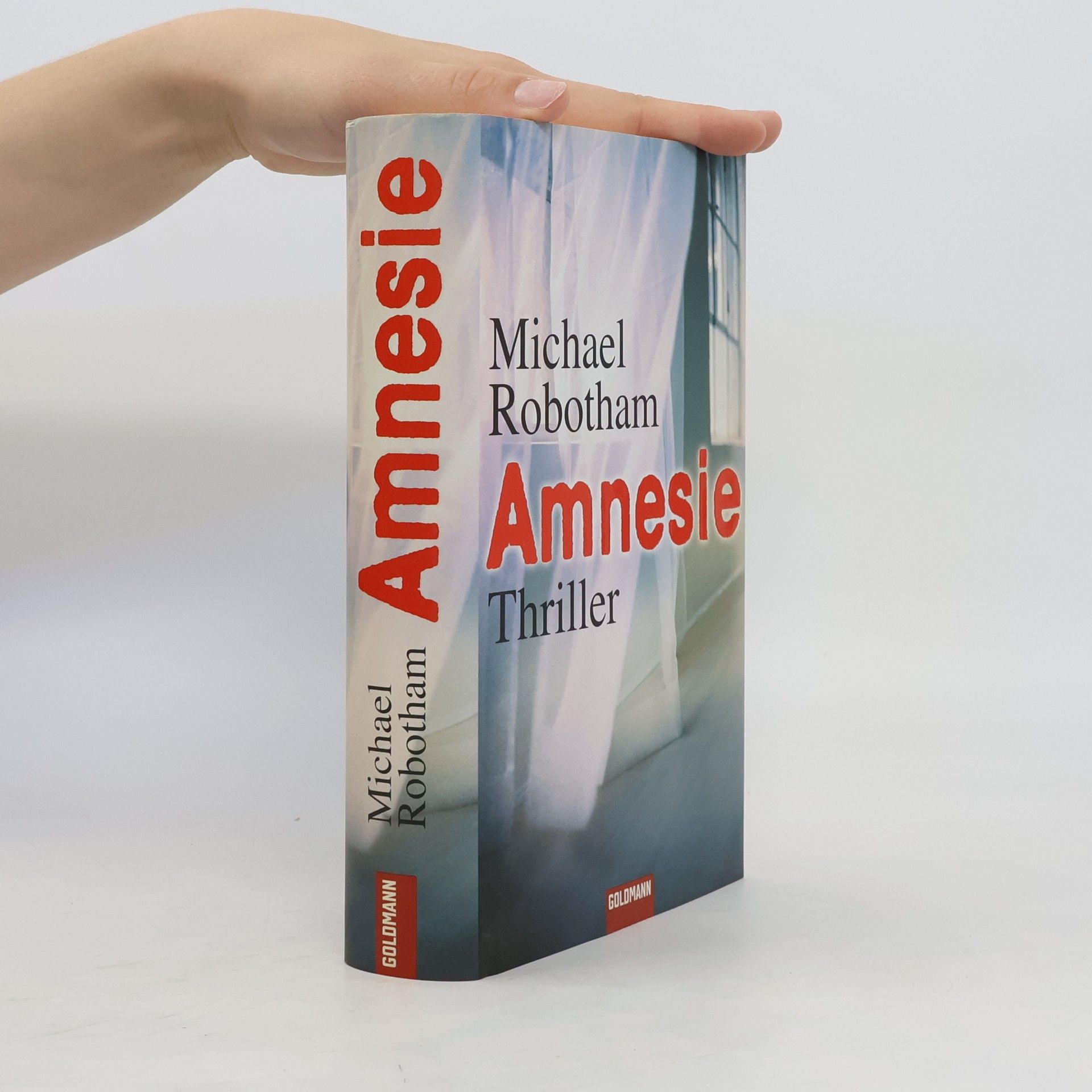 Michael Robotham Amnesie