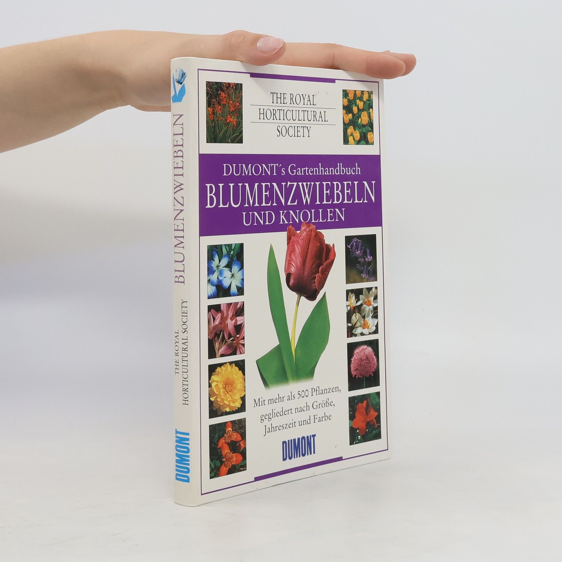 Susanne Vogel Blumenzwiebeln und Knollen