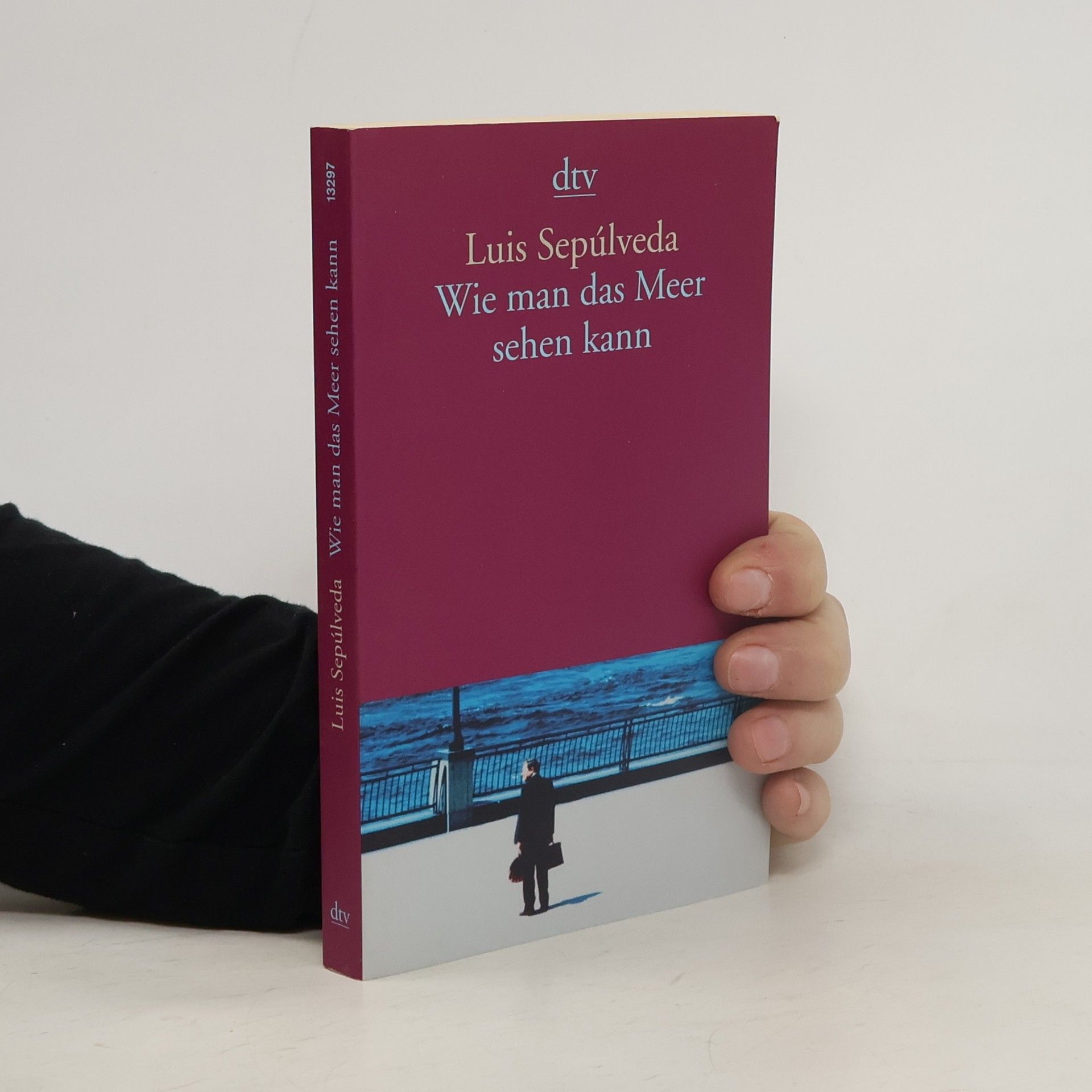 Luis Sepúlveda Wie man das Meer sehen kann. Erzählungen