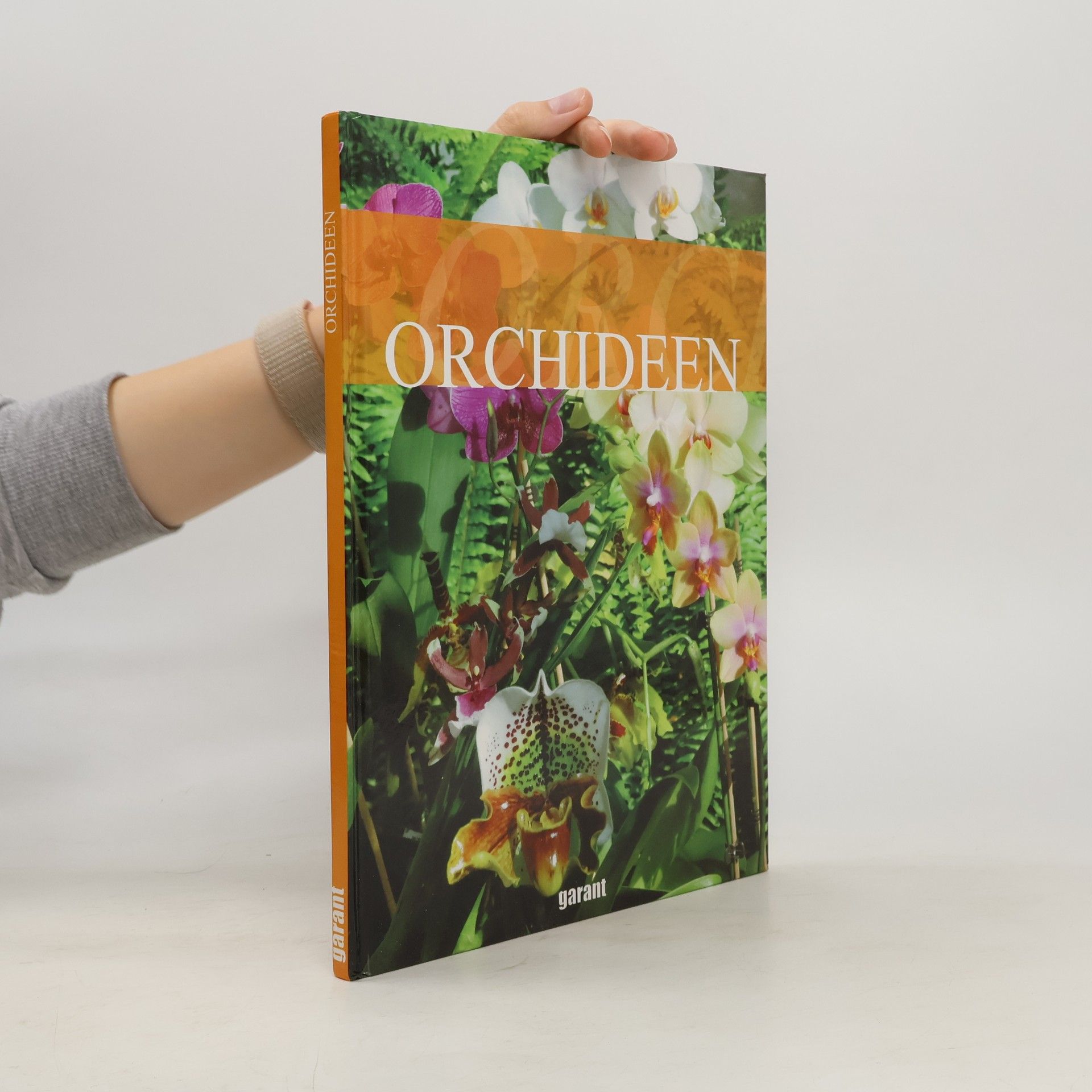 Collective Orchideen
