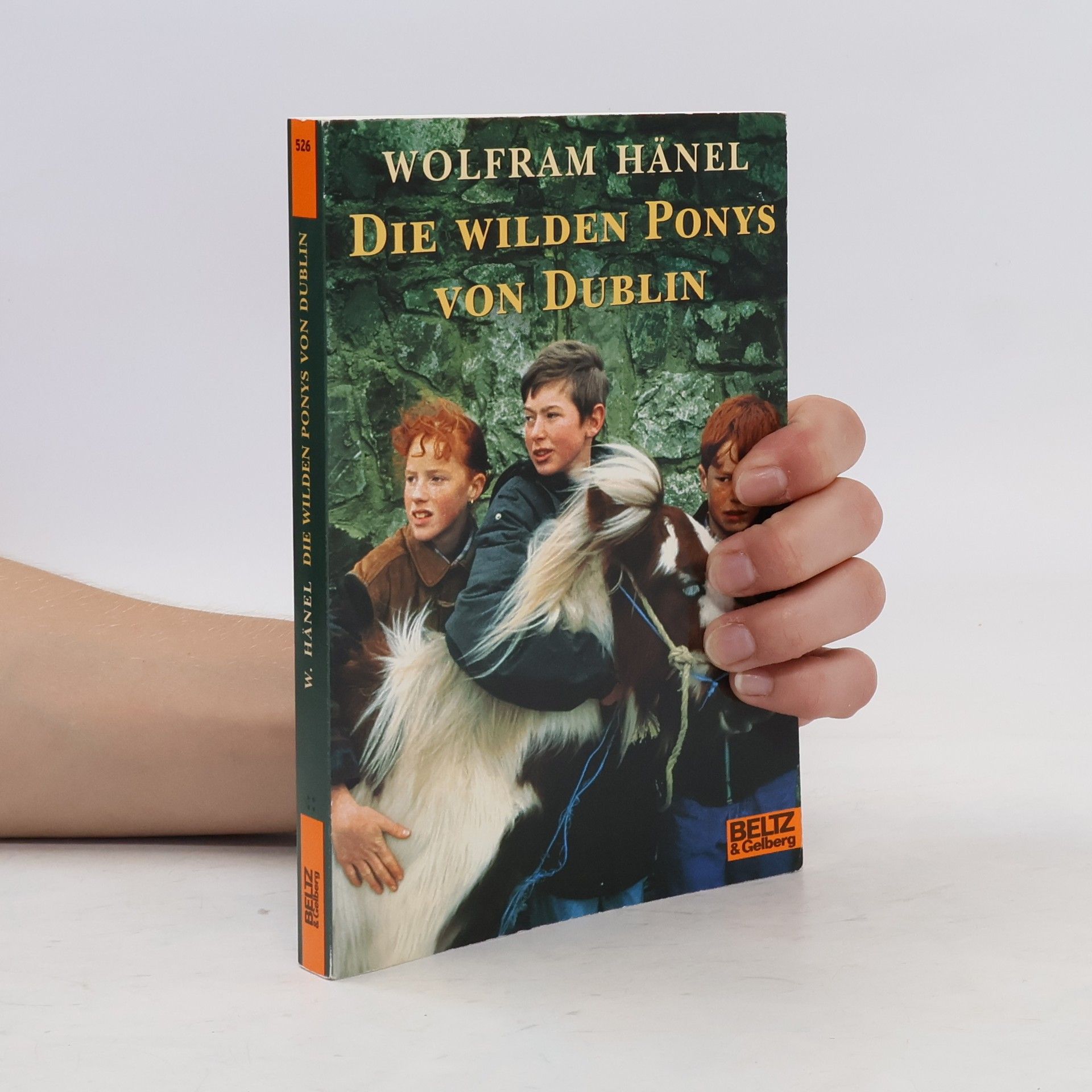 Wolfram Hänel Die wilden Ponys von Dublin