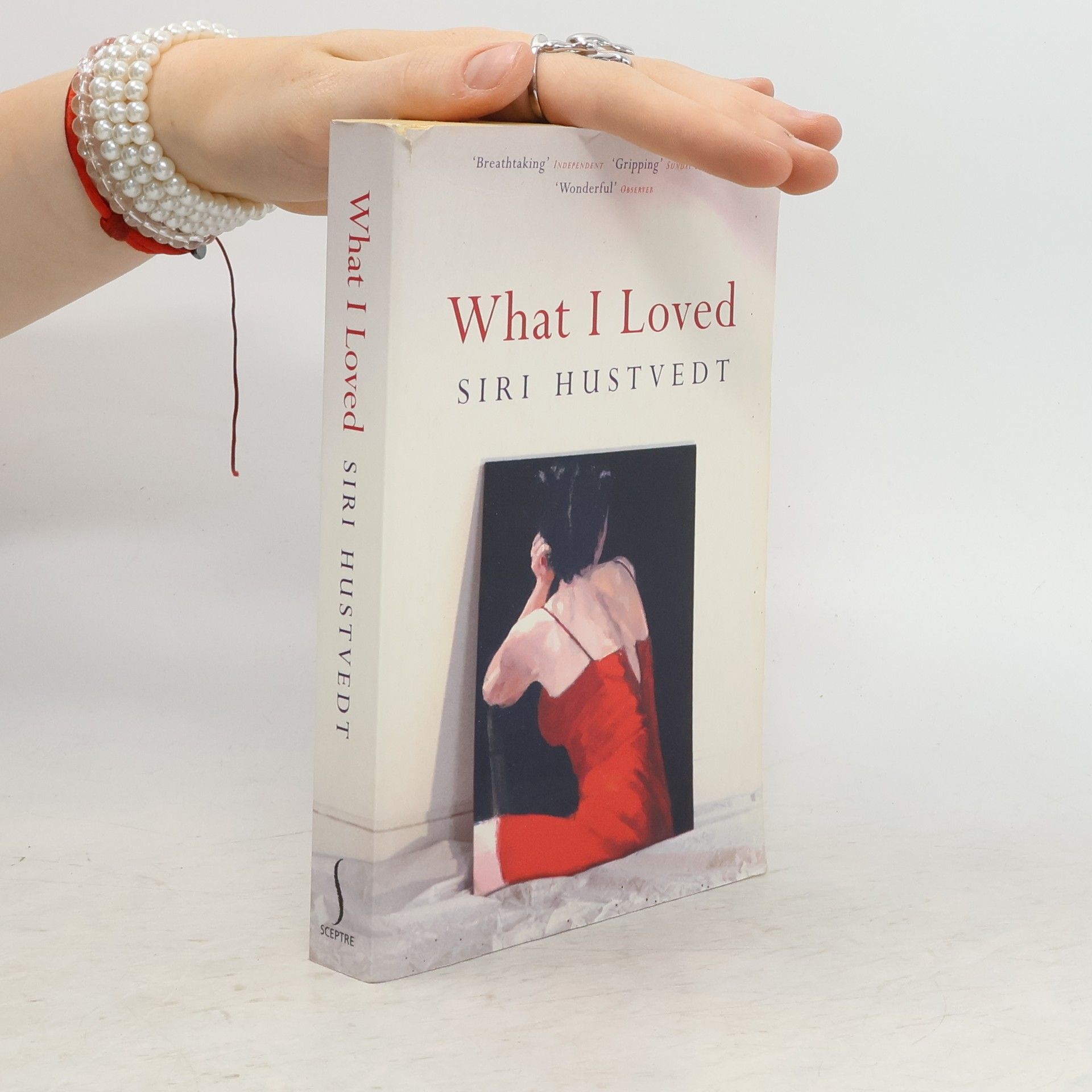 Siri Hustvedt What I Loved
