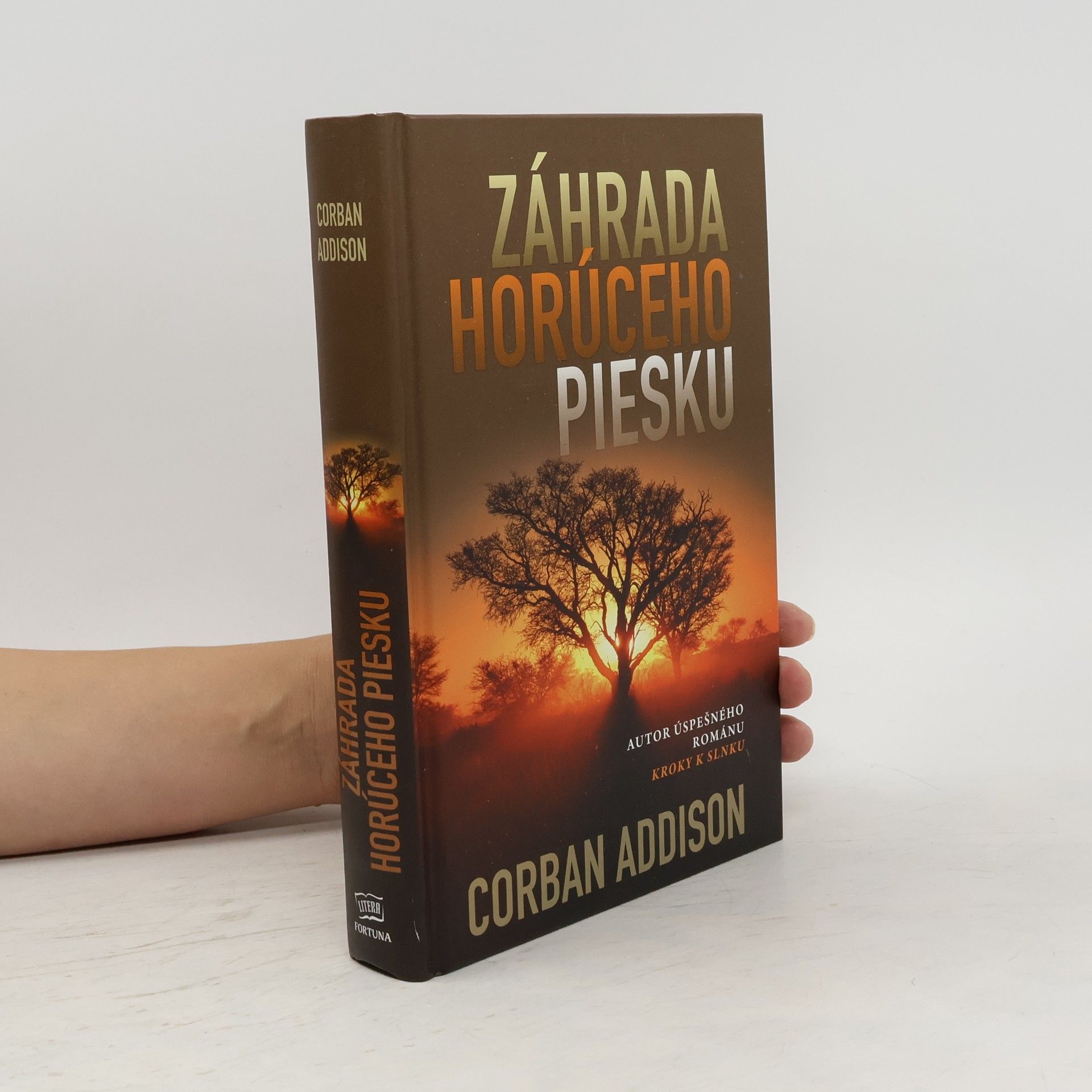 Corban Addison Záhrada horúceho piesku