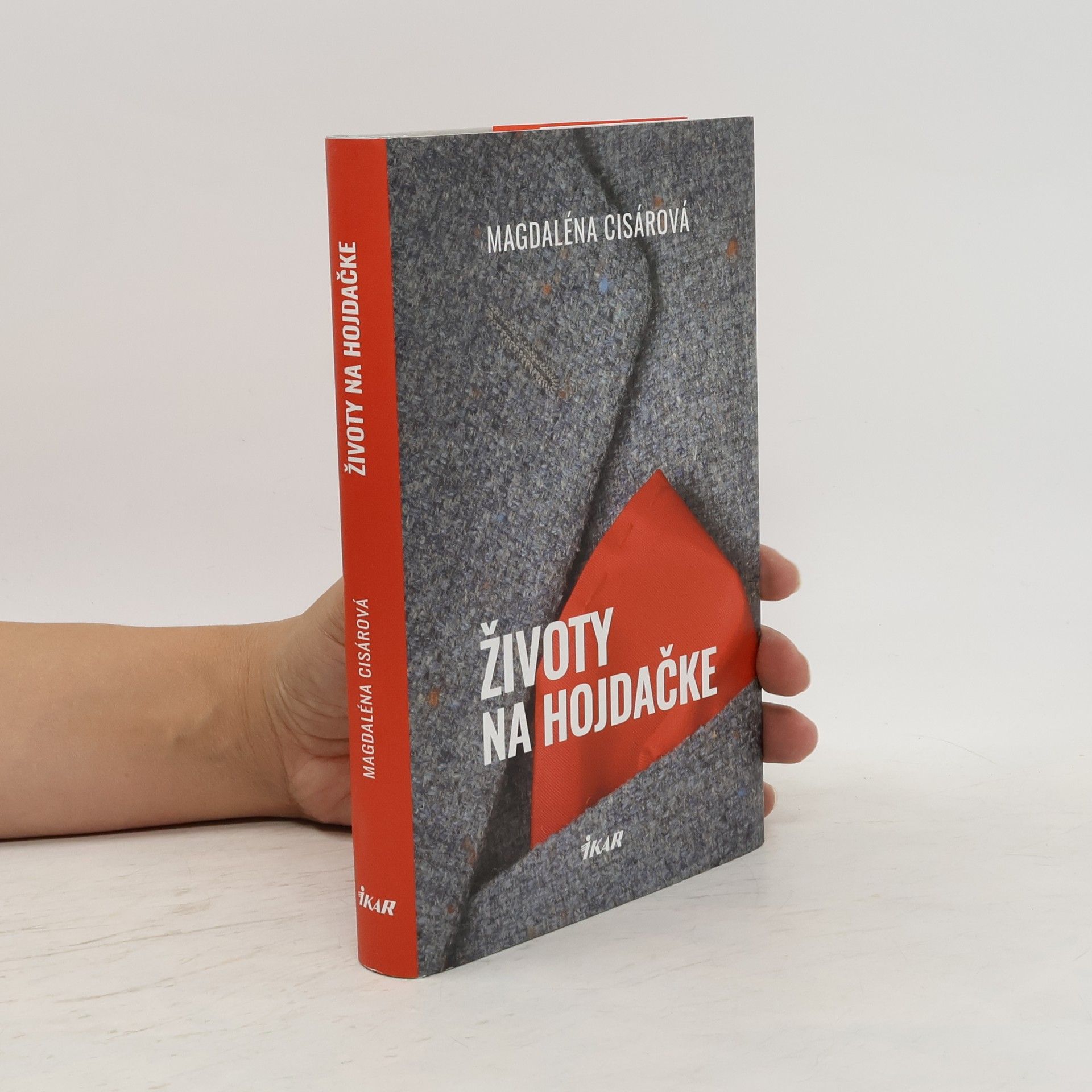 Magdaléna Cisárová Životy na hojdačke