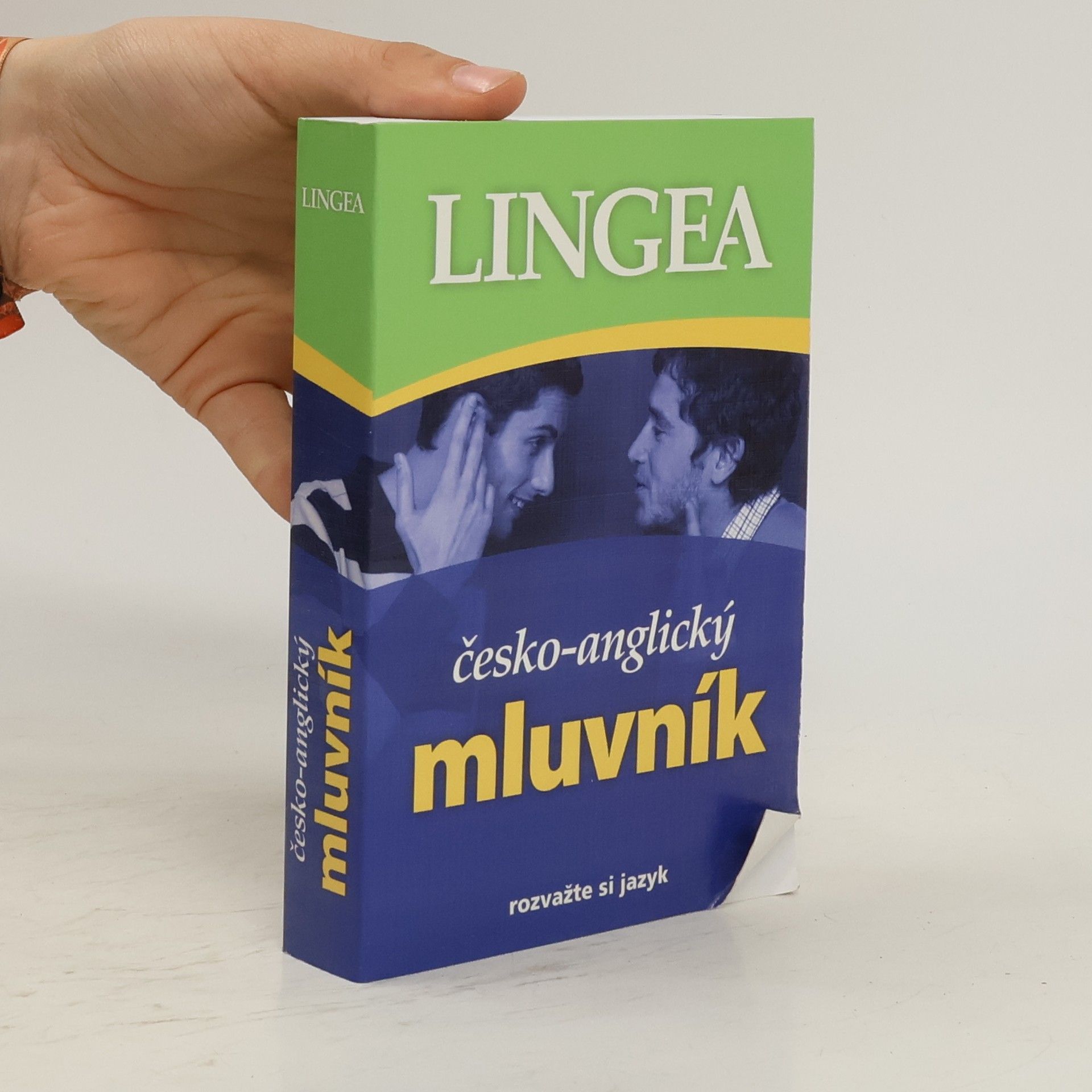 Auteurscollectief Česko-anglický mluvník