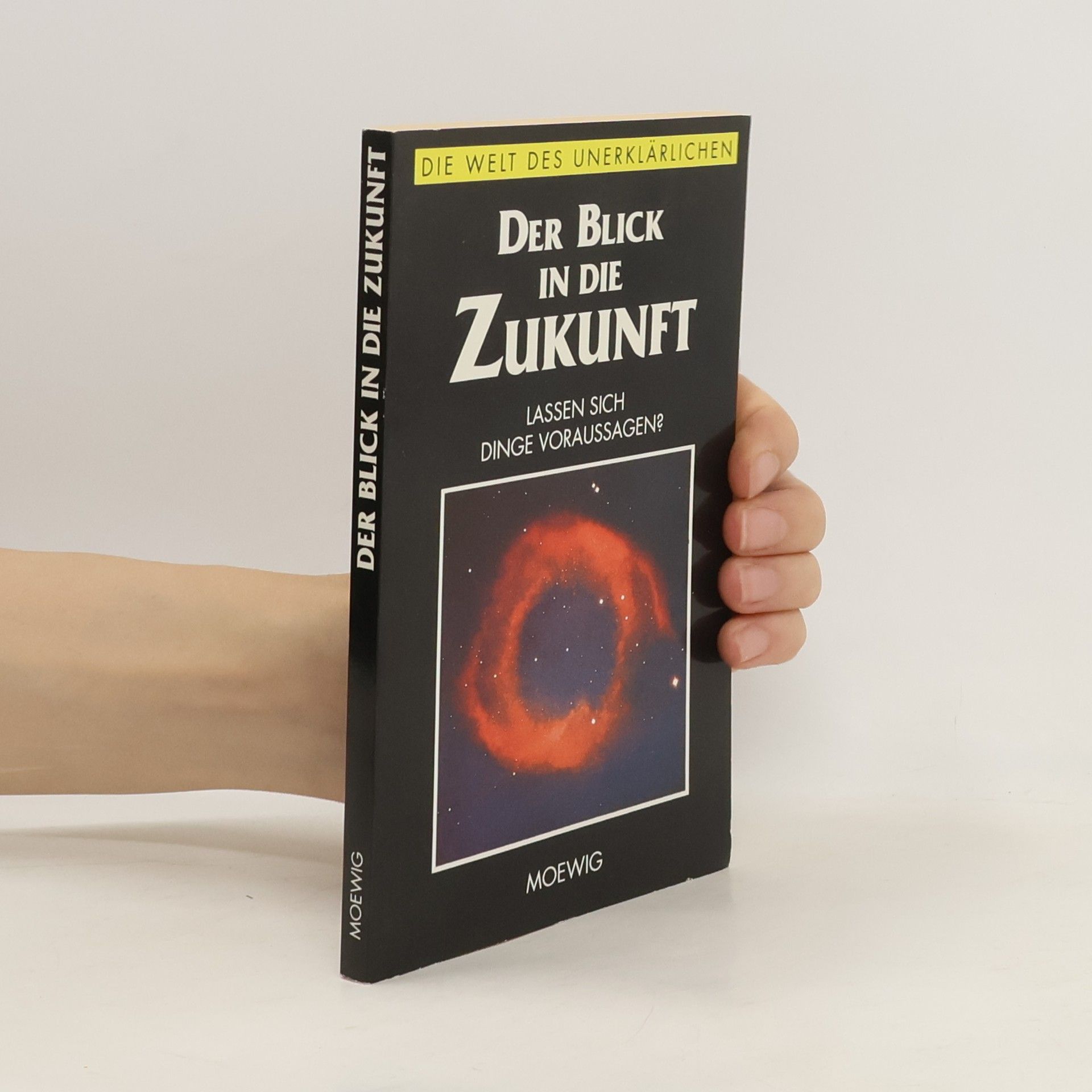 Autorenkollektiv Der Blick in die Zukunft