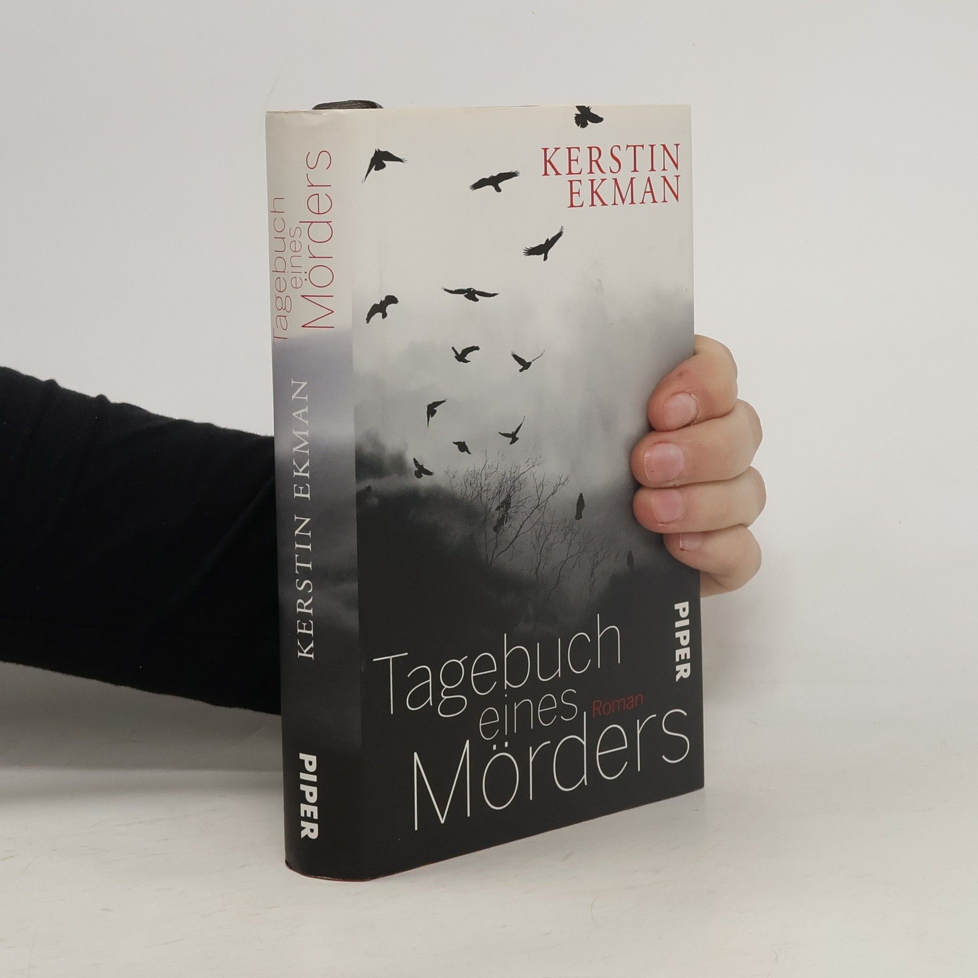 Kerstin Ekman Tagebuch eines Mörders