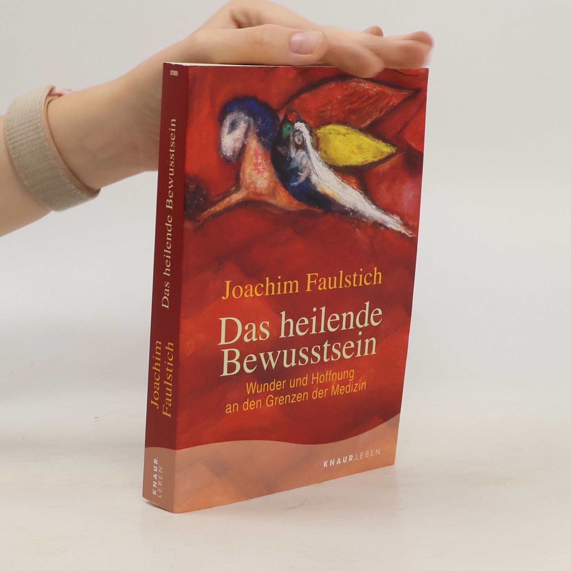 Joachim Faulstich Das heilende Bewusstsein