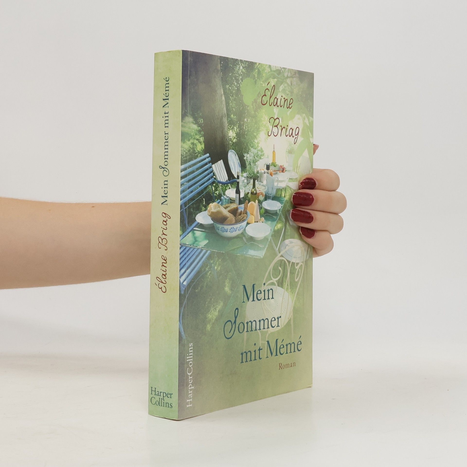 Elaine Briag Mein Sommer mit Mémé