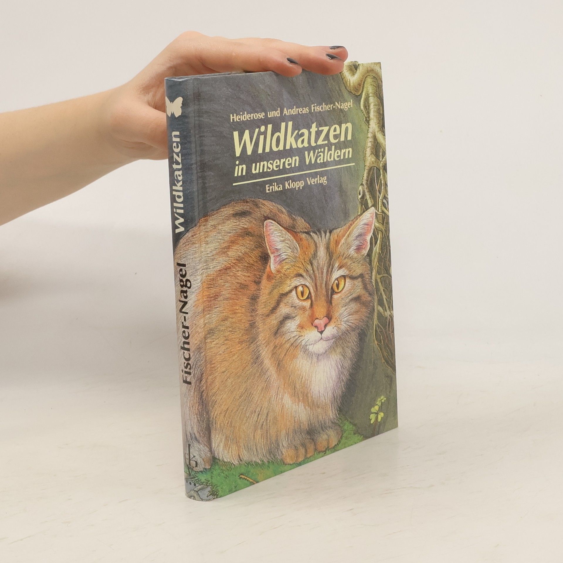 Heiderose Fischer-Nagel Wildkatzen in unseren Wäldern