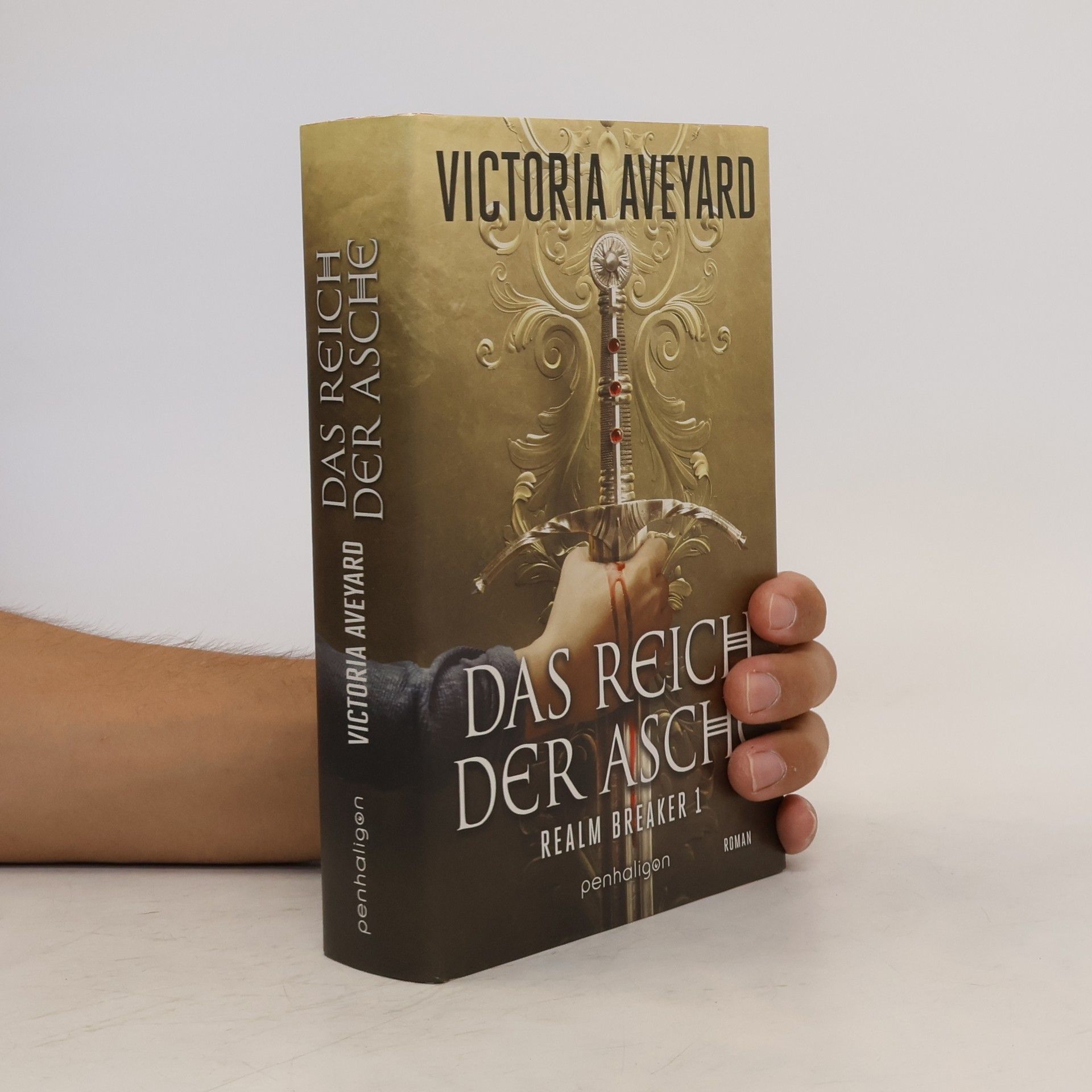 Victoria Aveyard Das Reich der Asche - Realm Breaker 1