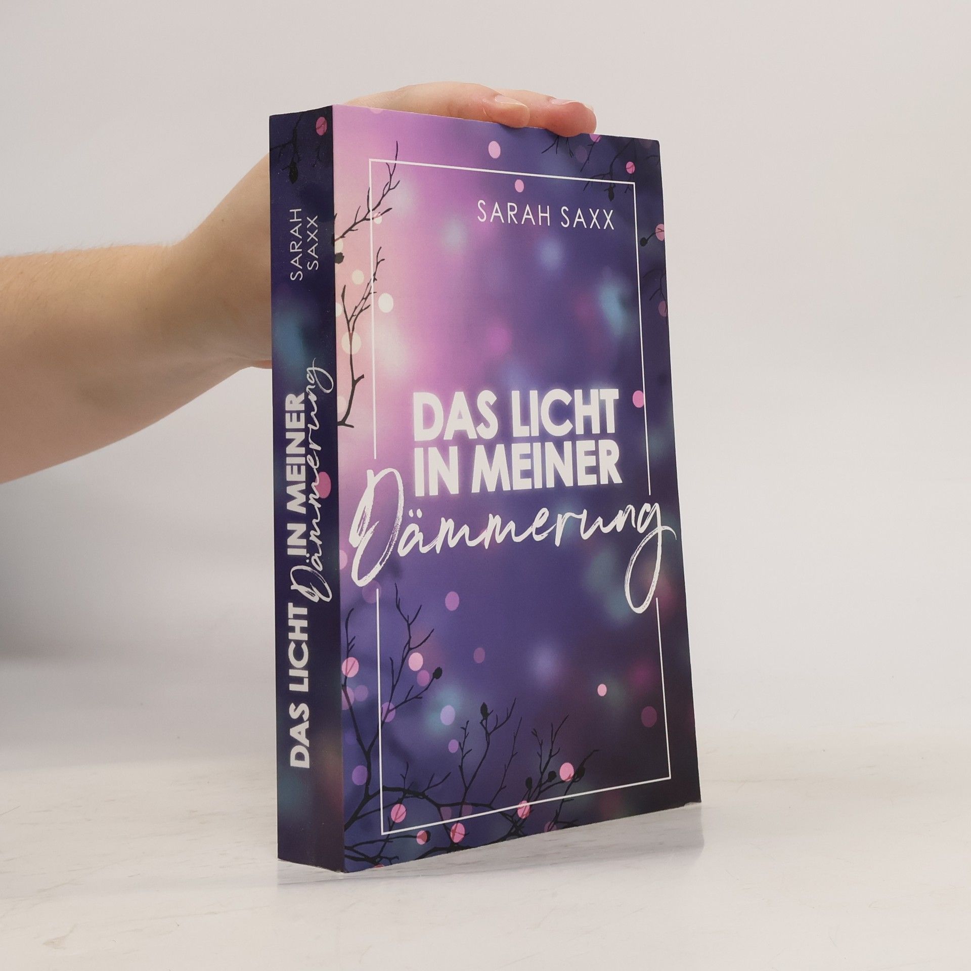 Sarah Saxx Das Licht in meiner Dämmerung