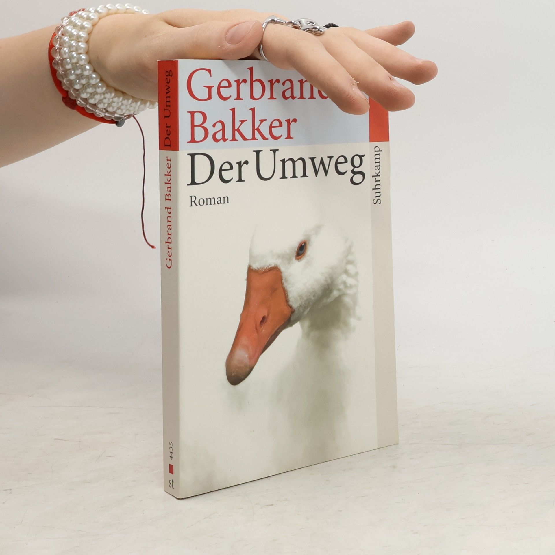 Gerbrand Bakker Der Umweg