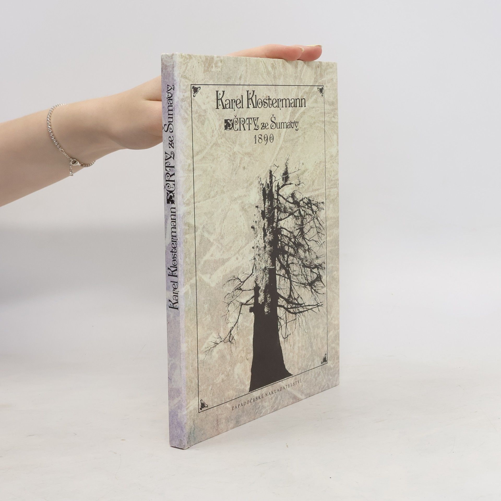Karel Klostermann Črty ze Šumavy 1890