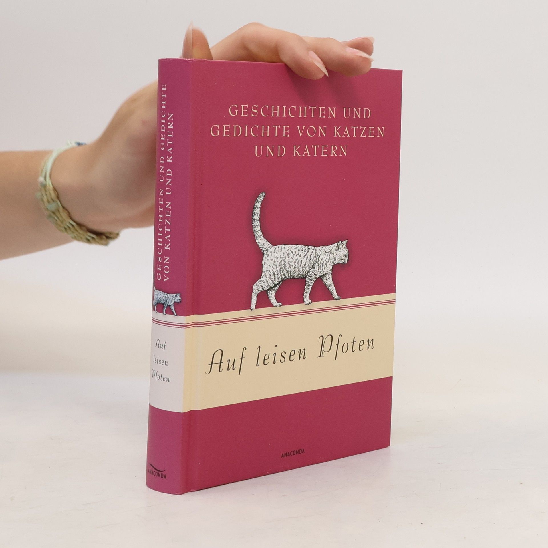 Jan Strümpel Auf leisen Pfoten - Geschichten und Gedichte von Katzen und Katern