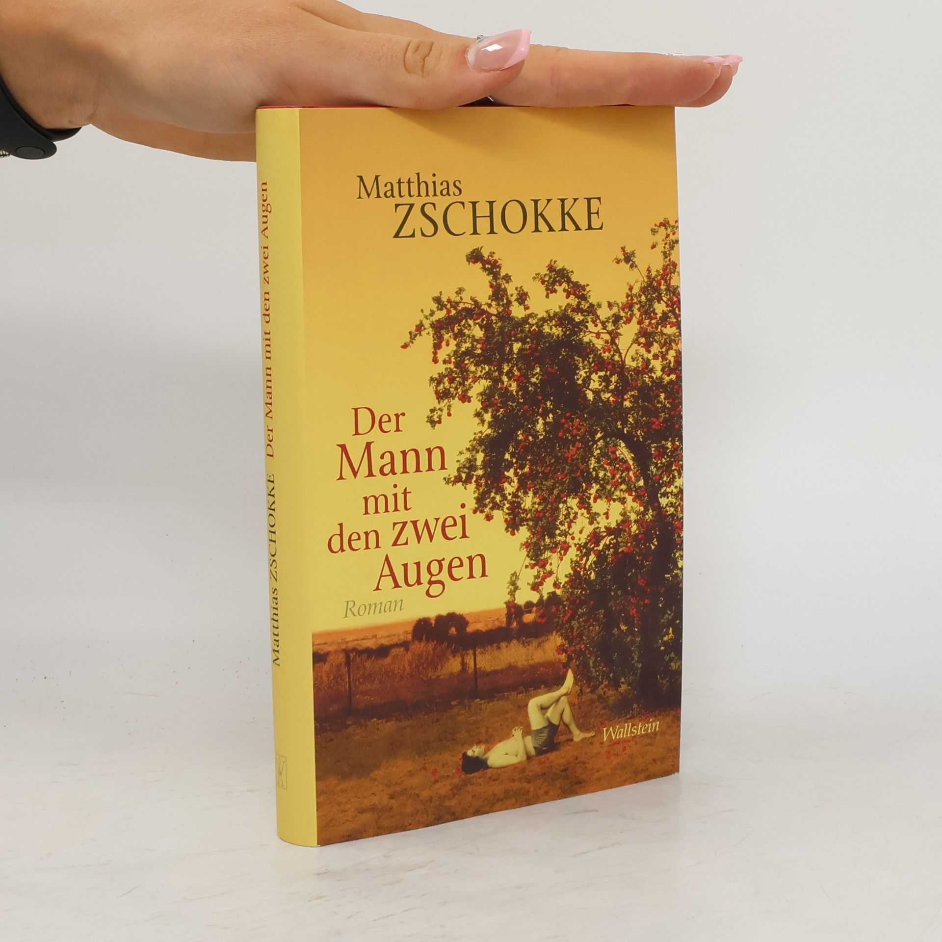 Matthias Zschokke Der Mann mit den zwei Augen