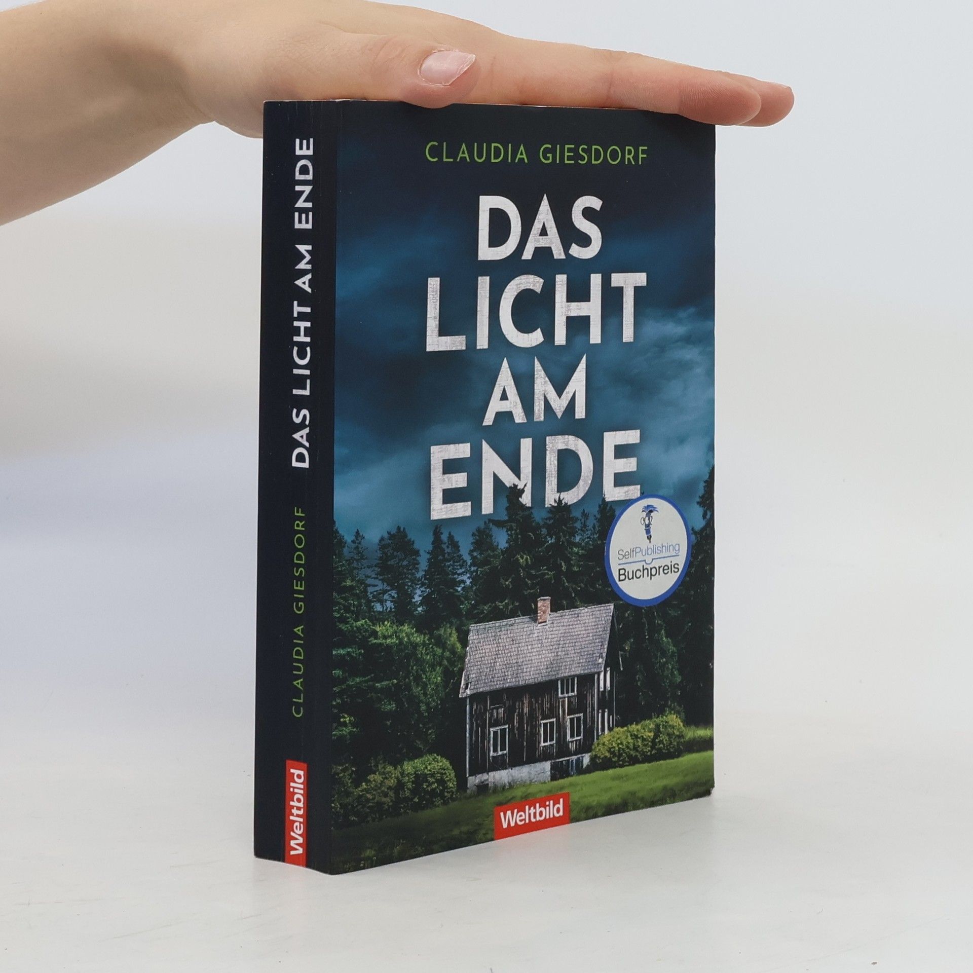 Claudia Giesdorf Das Licht am Ende